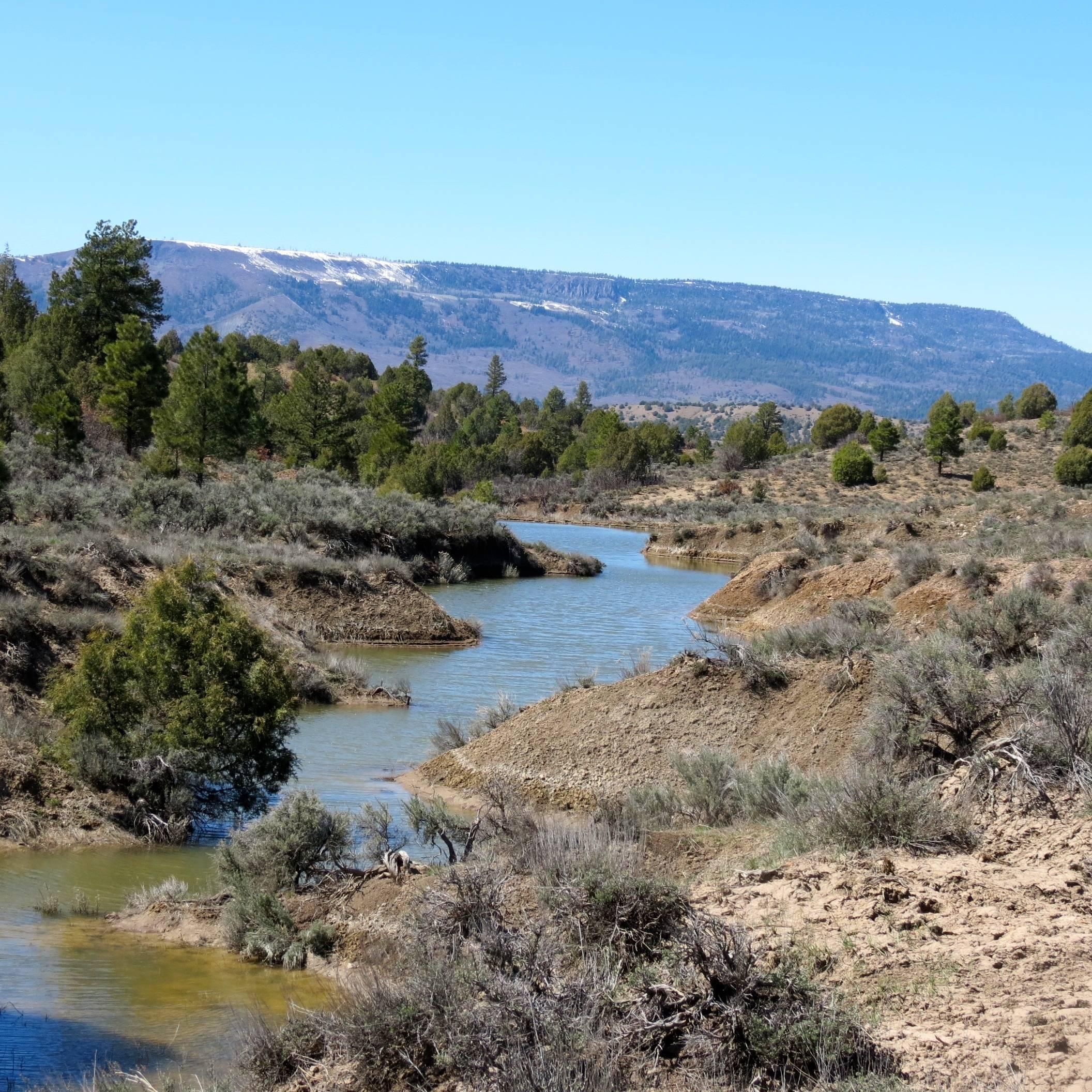 600.00 acres in Rio Arriba County, New Mexico
