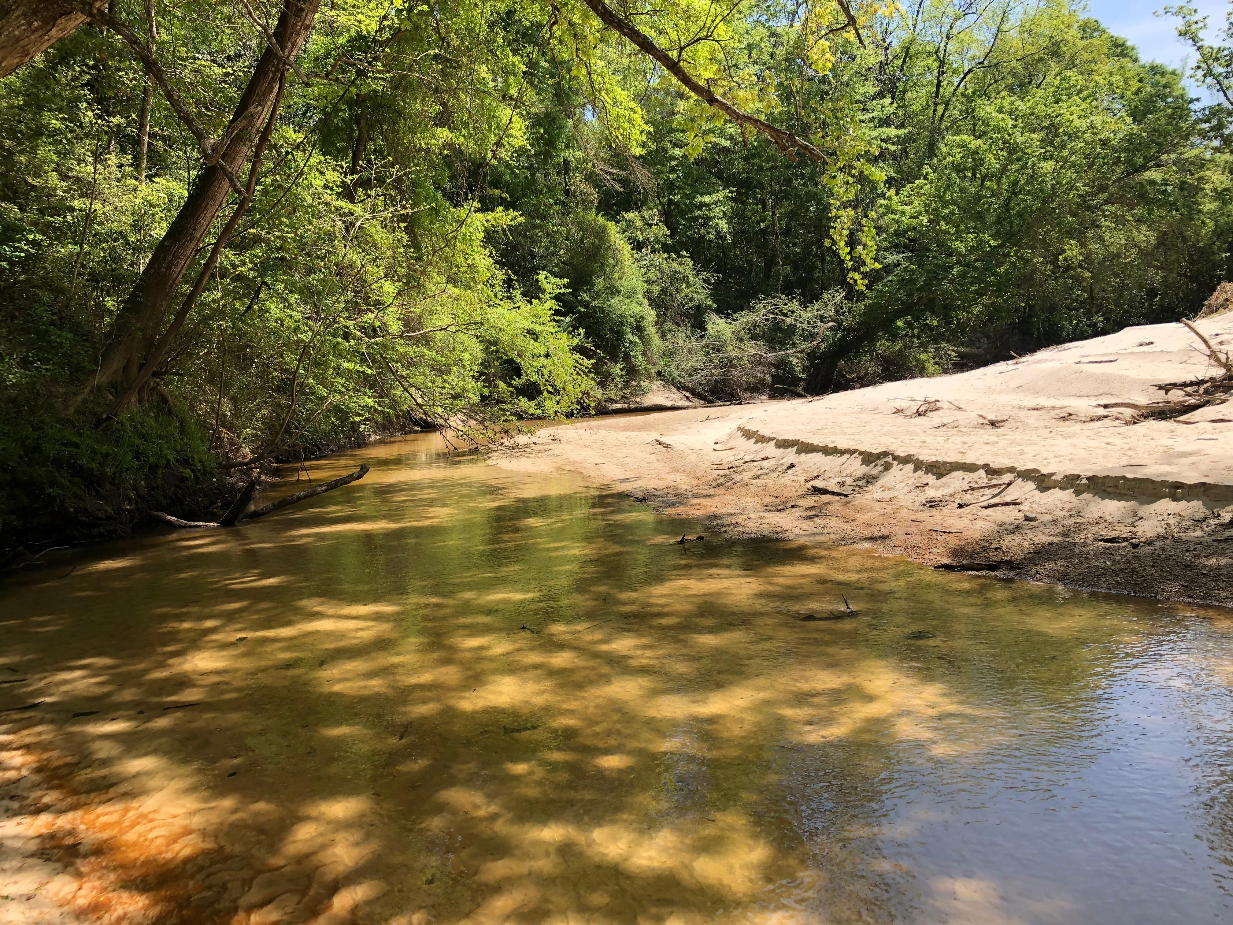 112 acres in Pearl River County, Mississippi