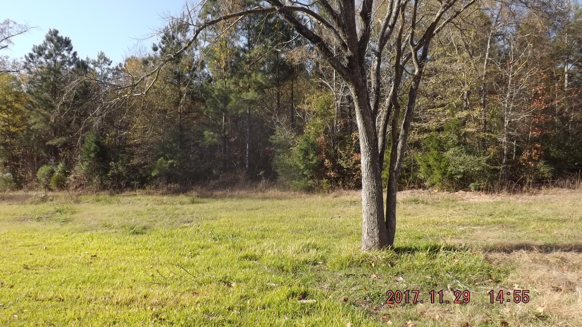 18.22 acres in Anderson County, Texas