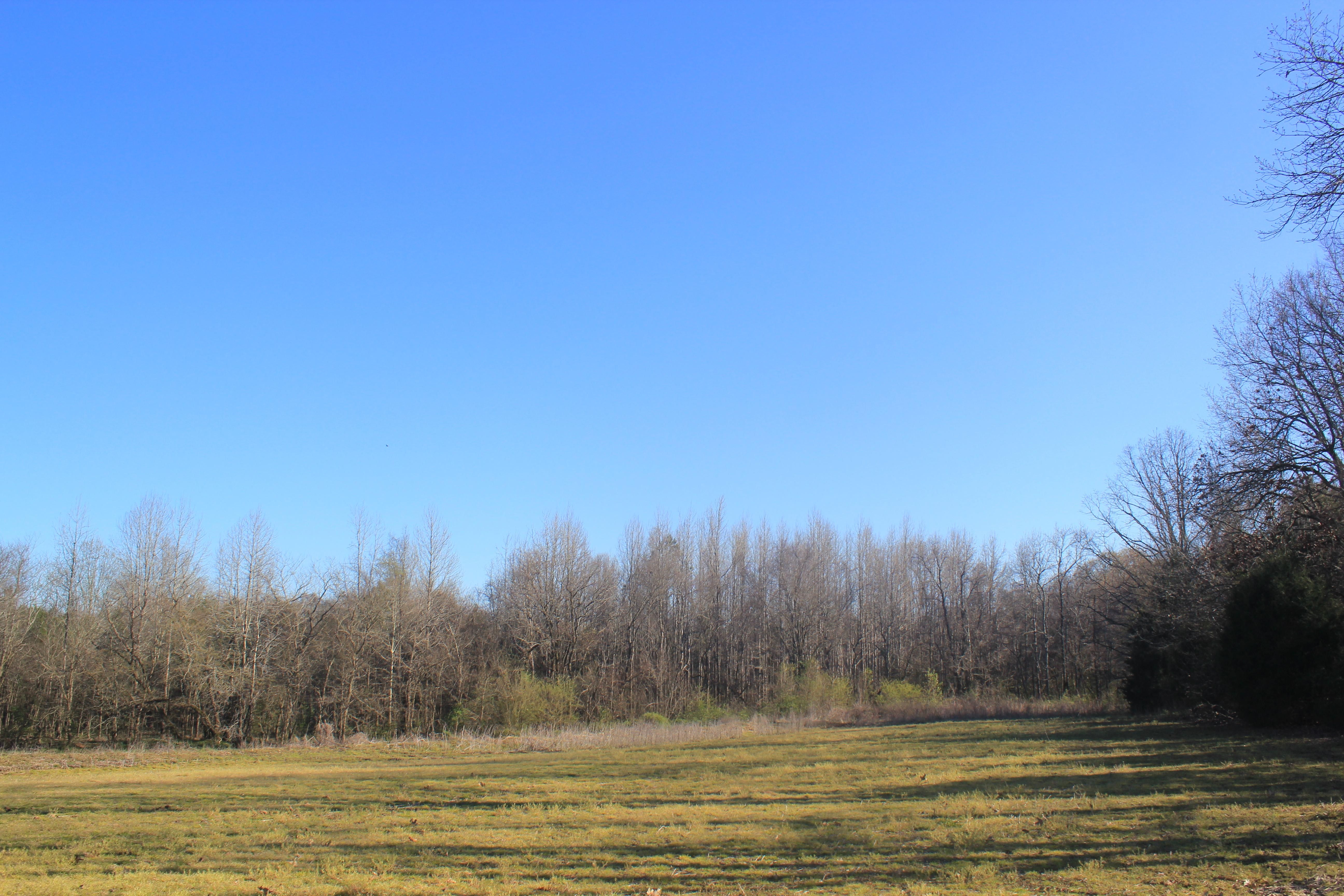 280 acres in Marshall County, Mississippi