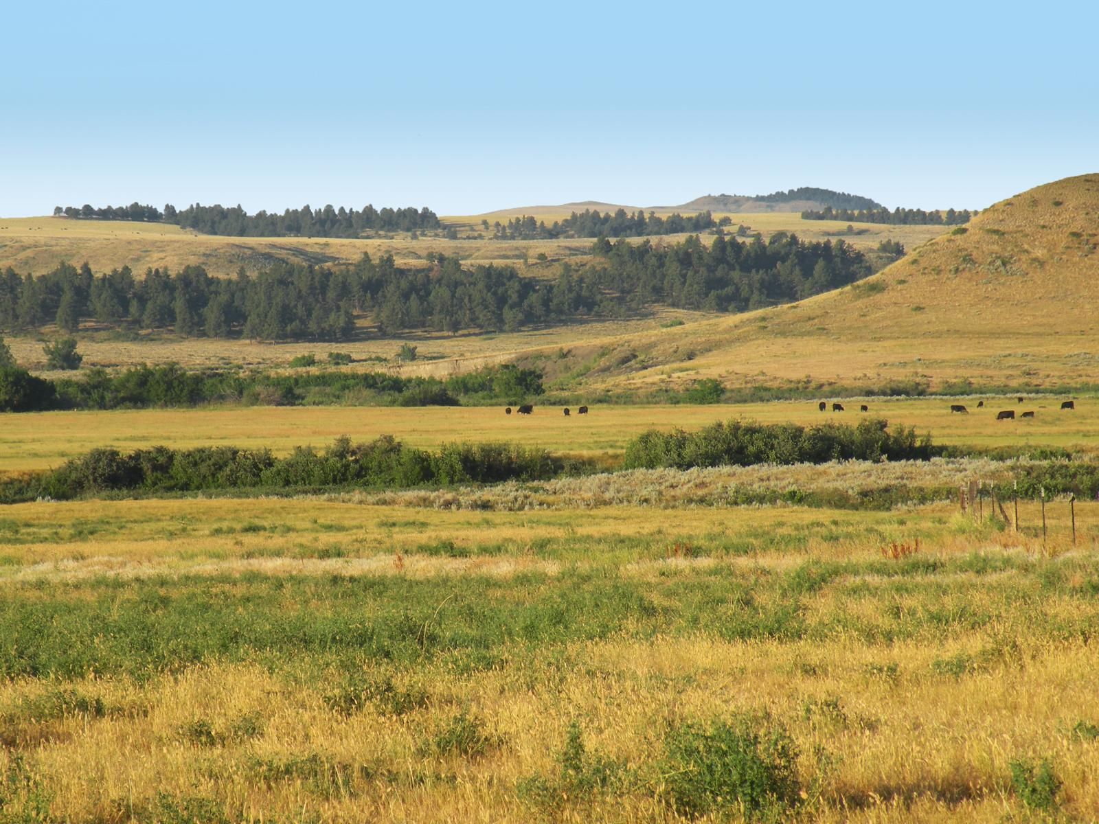 4,450 acres in Fergus County, Montana