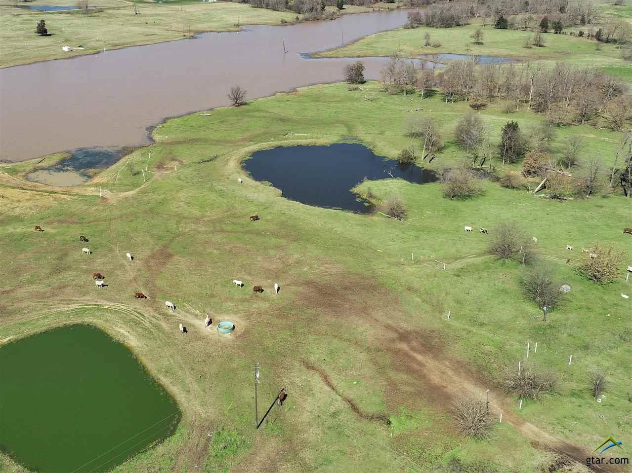 99 acres in Franklin County, Texas