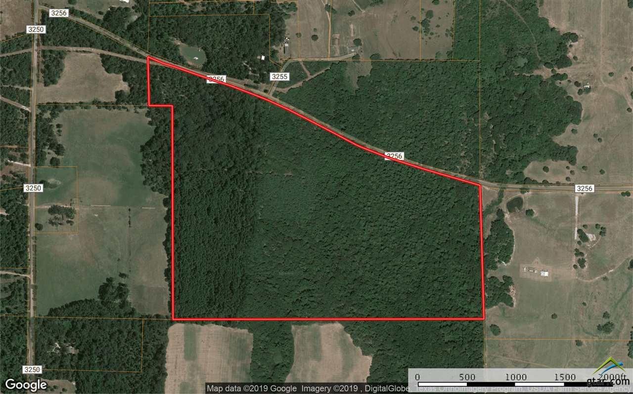 100 acres in Wood County, Texas