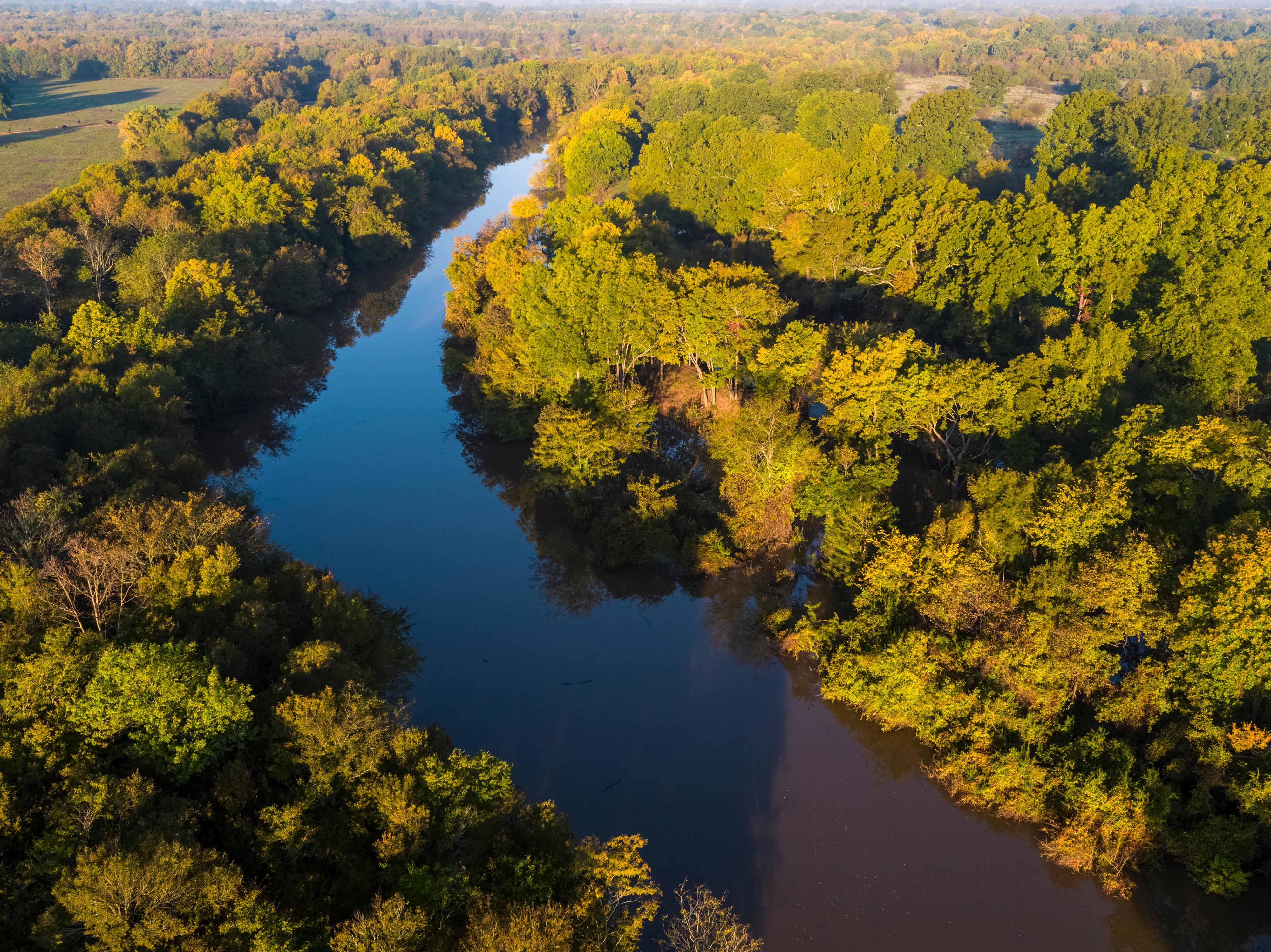 1,555 acres in Little River County, Arkansas