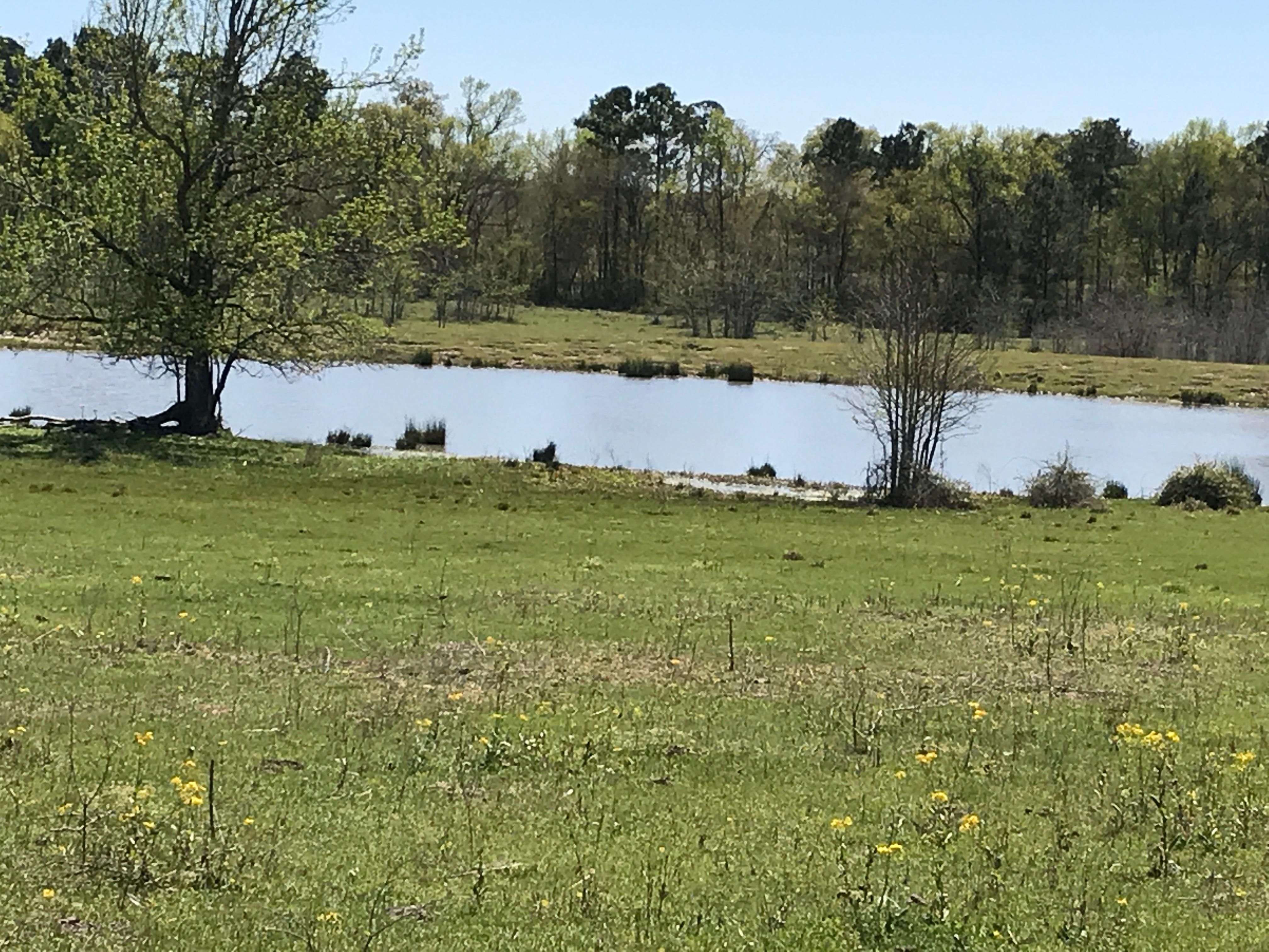 207.23 acres in Walker County, Texas