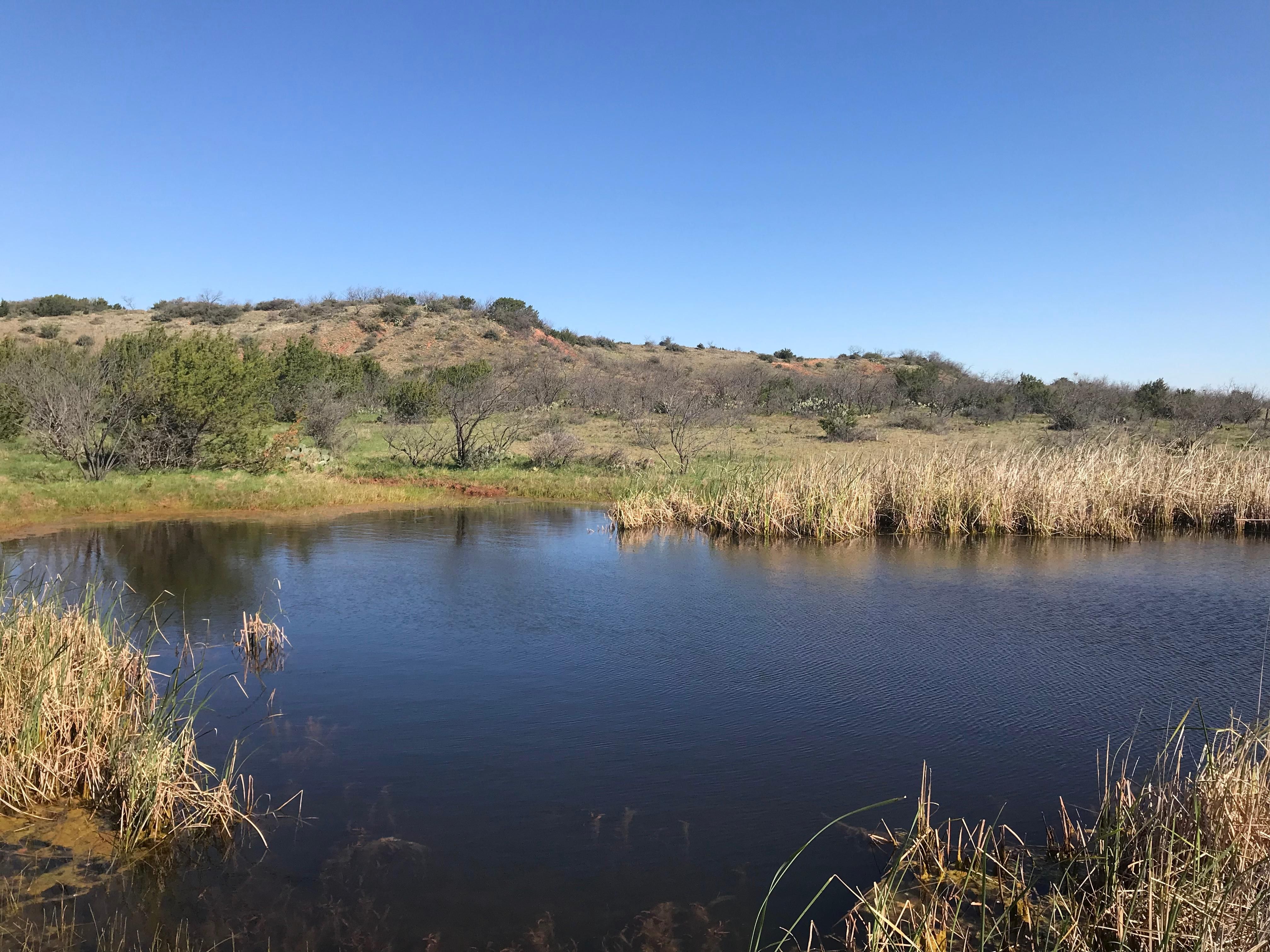 53 acres in Taylor County, Texas