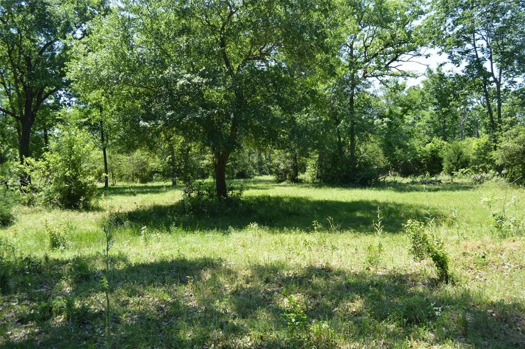12.34 acres in Waller County, Texas