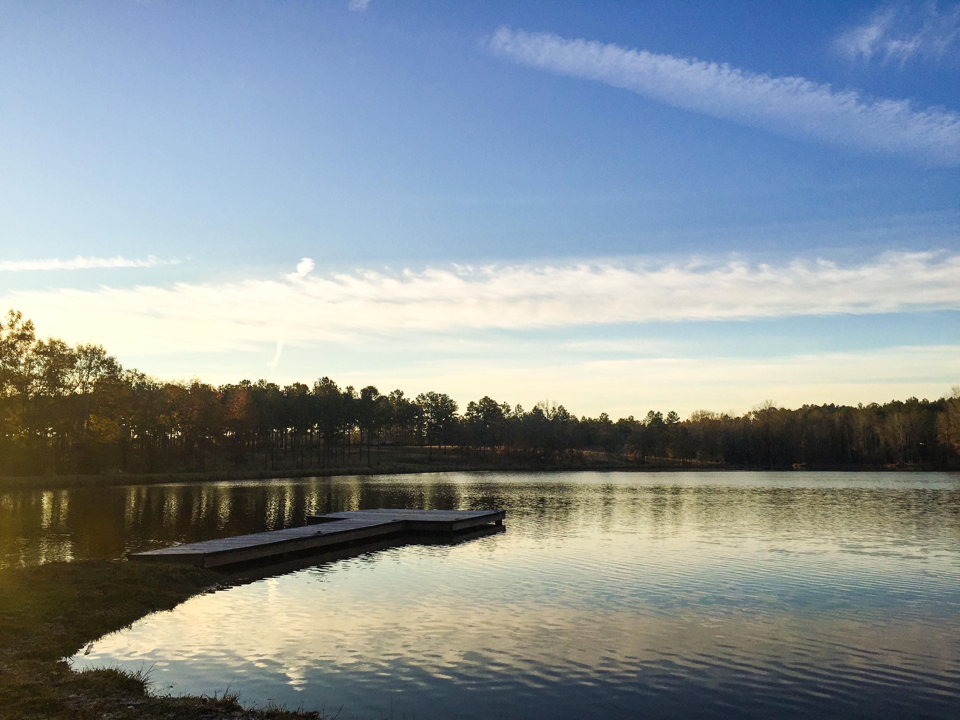 1222.00 acres in bullock county, alabama
