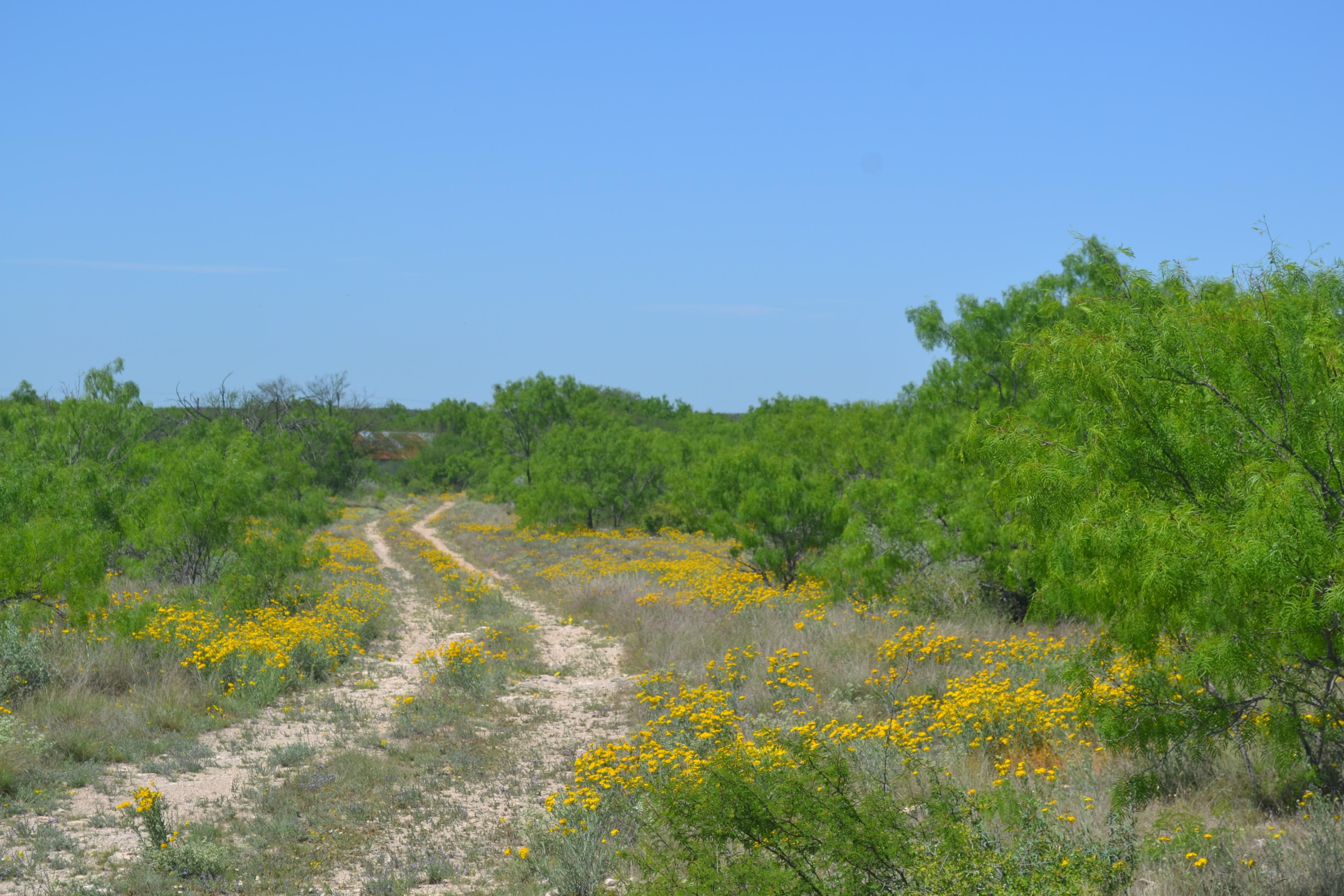 340 acres in Kinney County, Texas