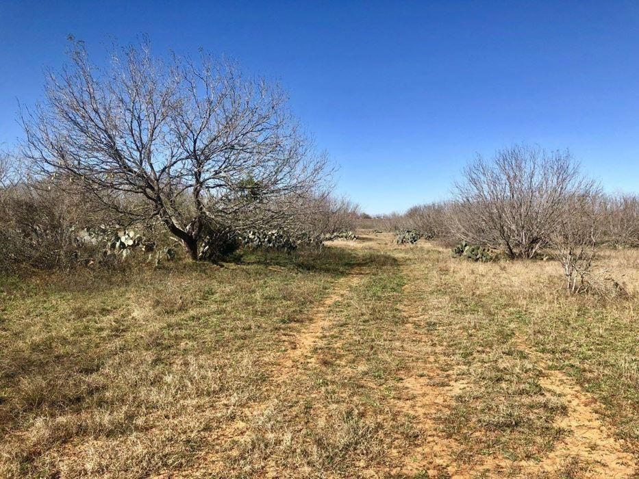 12.26 acres in Atascosa County, Texas