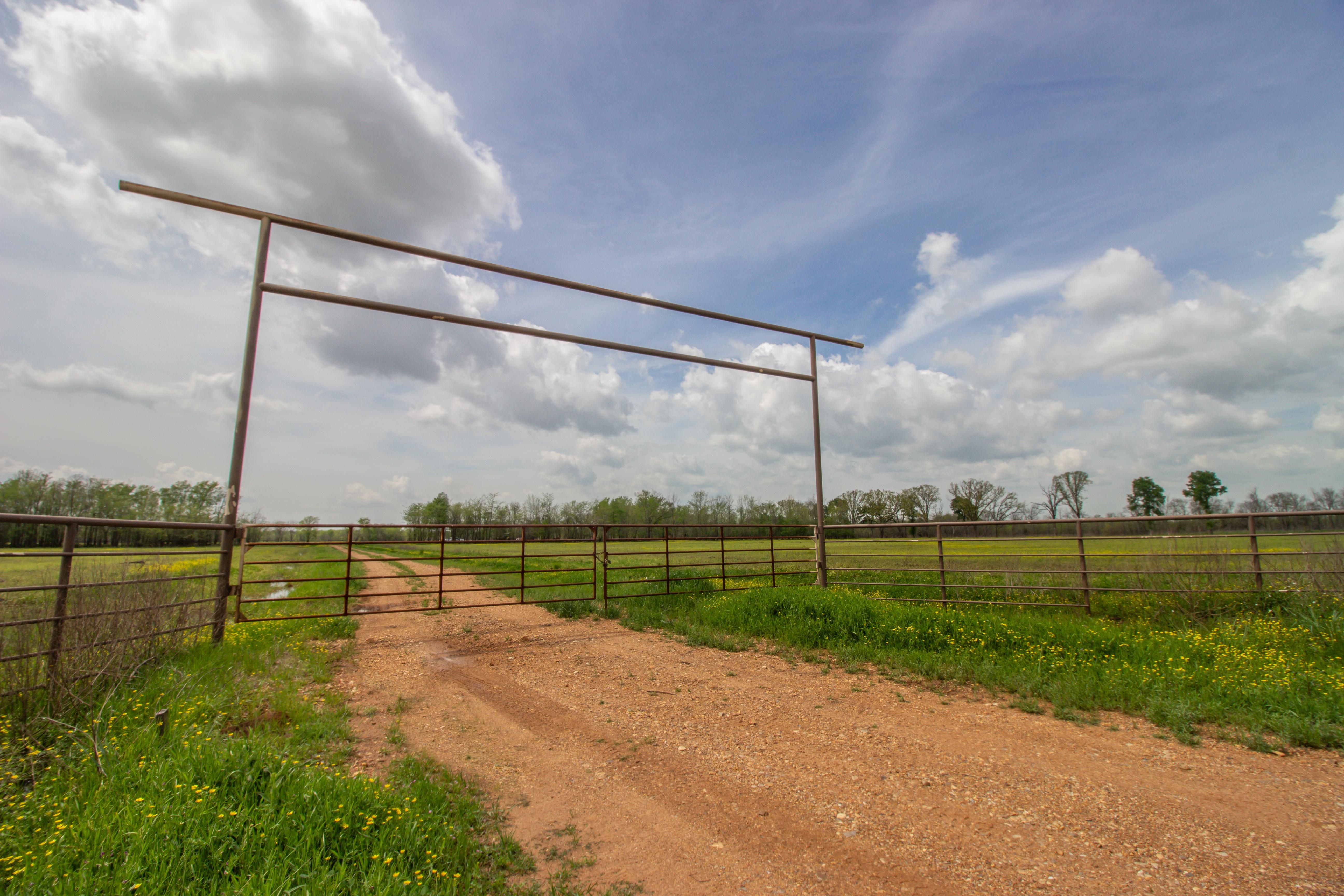 240 acres in Little River County, Arkansas