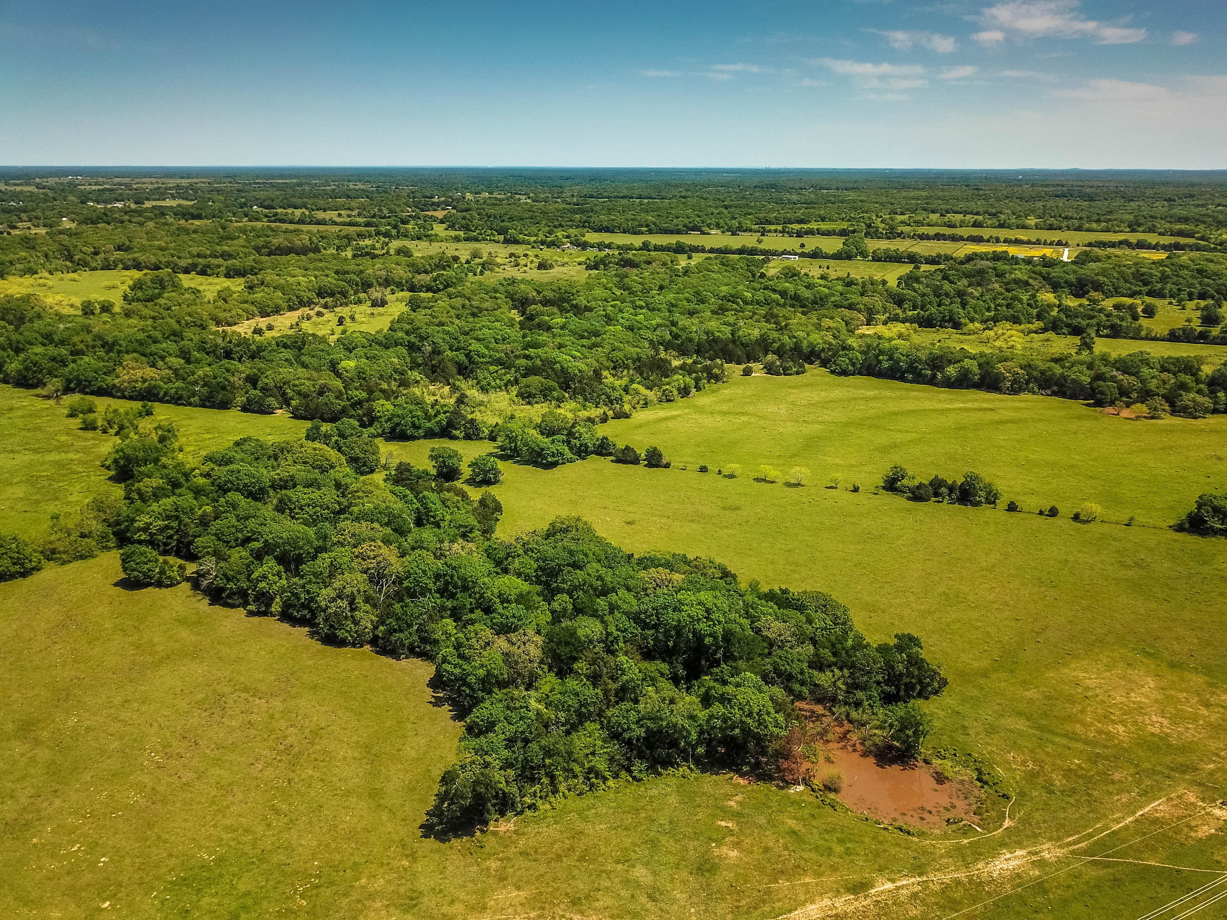 158 acres in Freestone County, Texas
