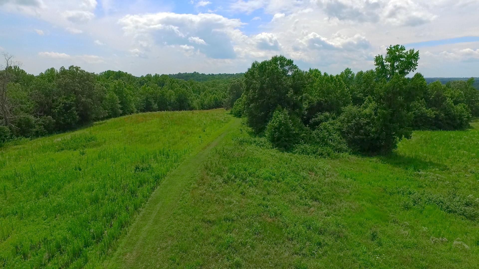 30.24 acres in Caswell County, North Carolina