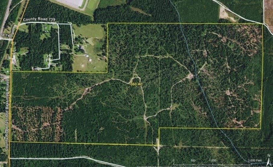 348.58 acres in Jasper County, Texas