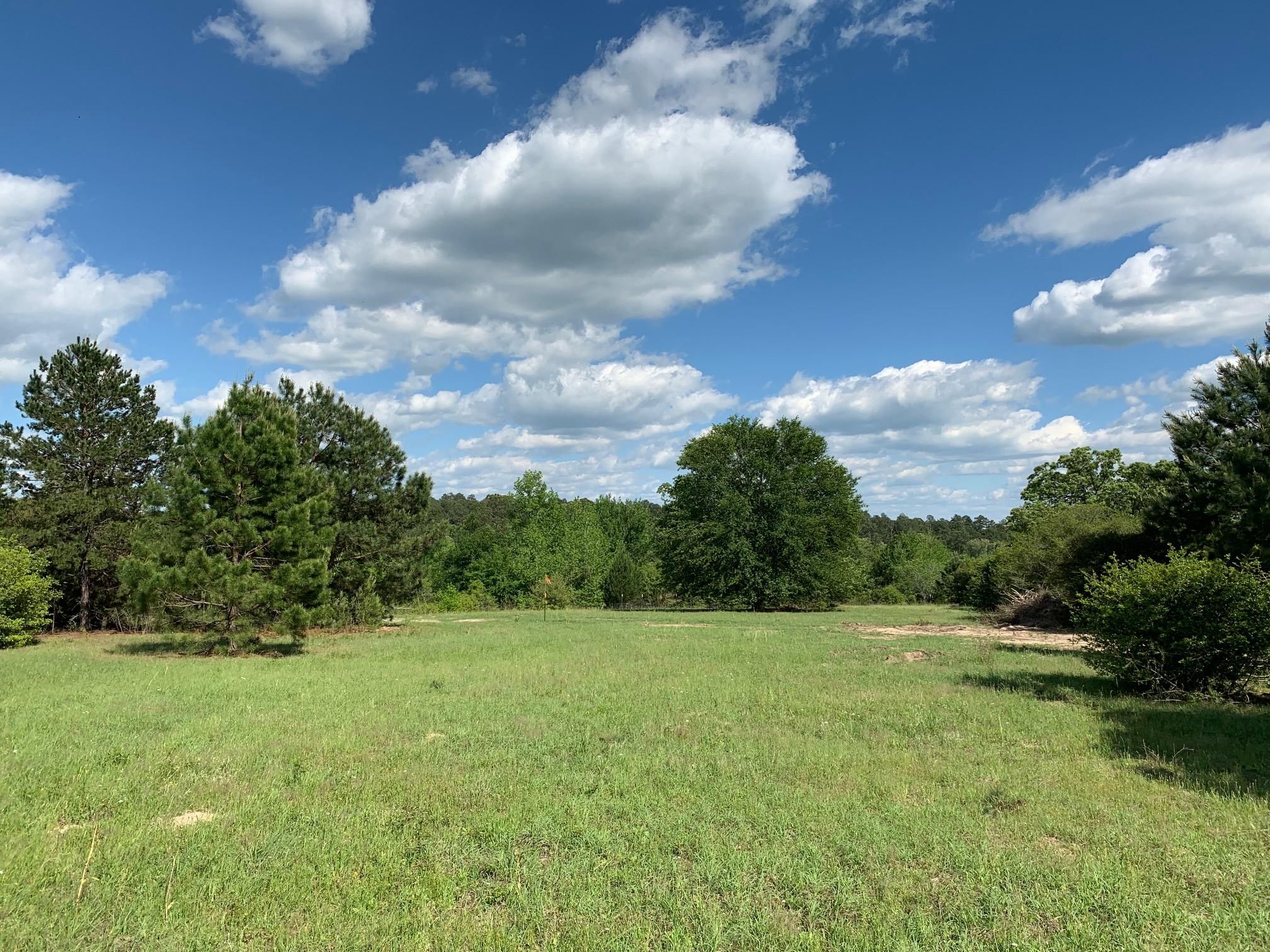 55 acres in Leon County, Texas