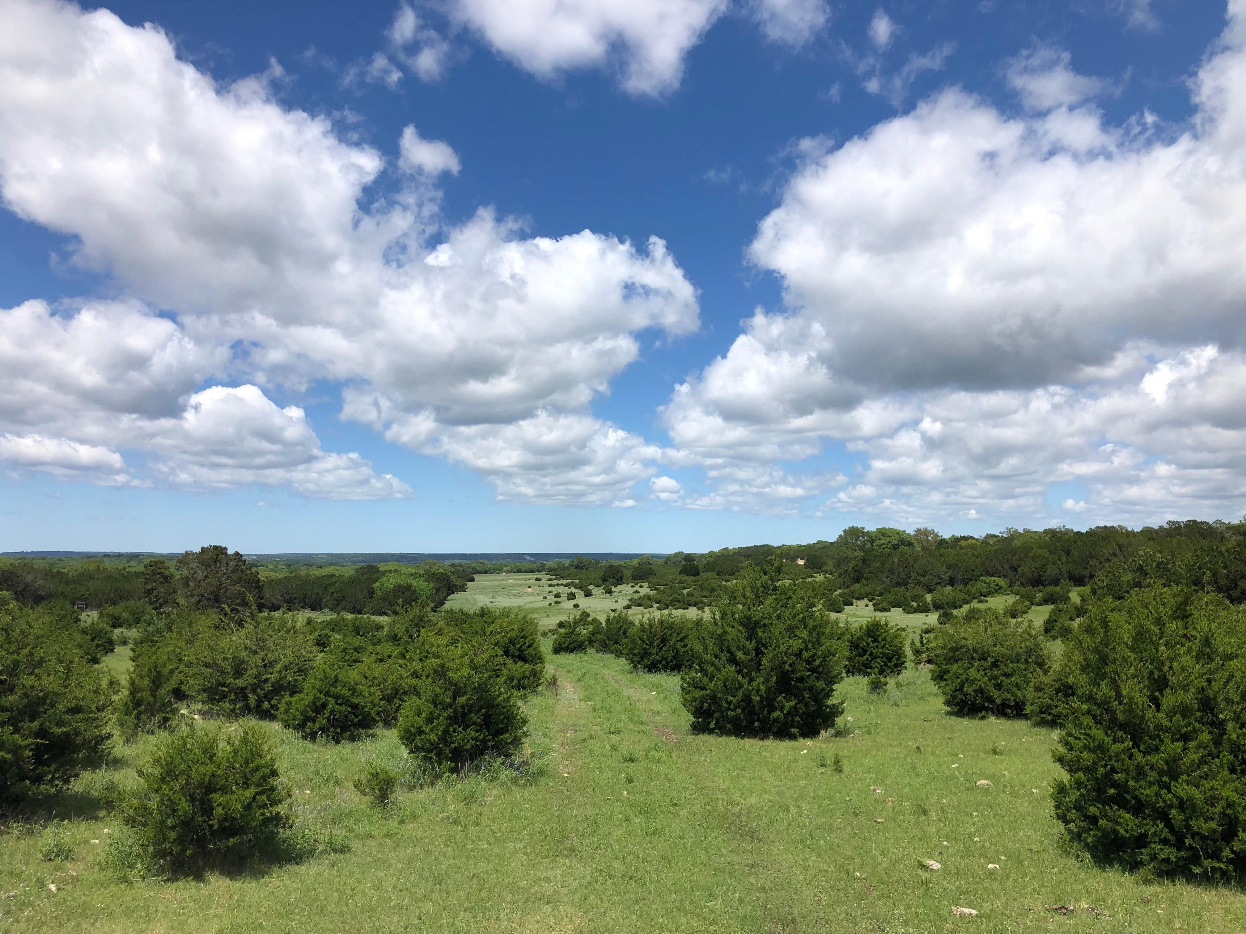 596 acres in County, Texas