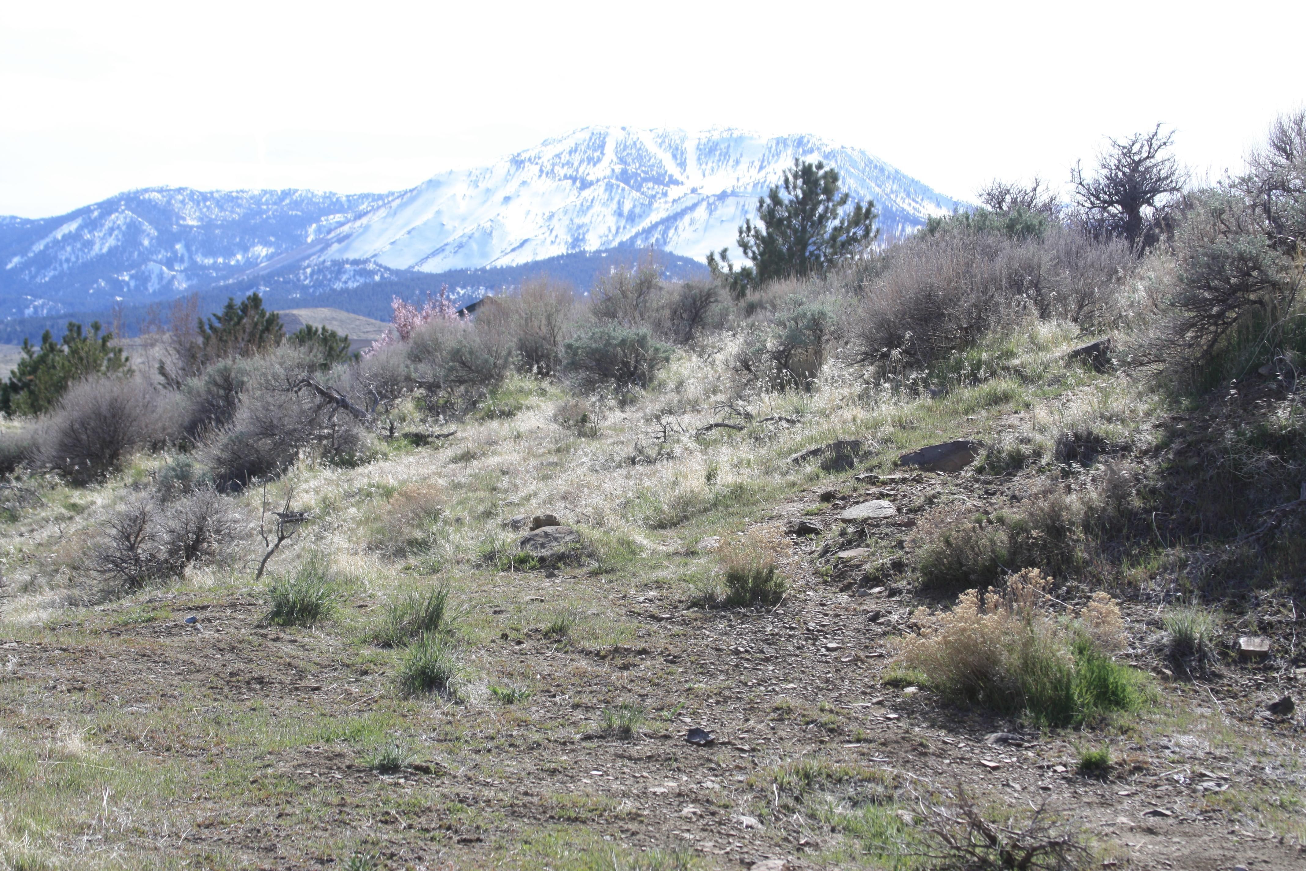 1.75 acres in Washoe County, Nevada