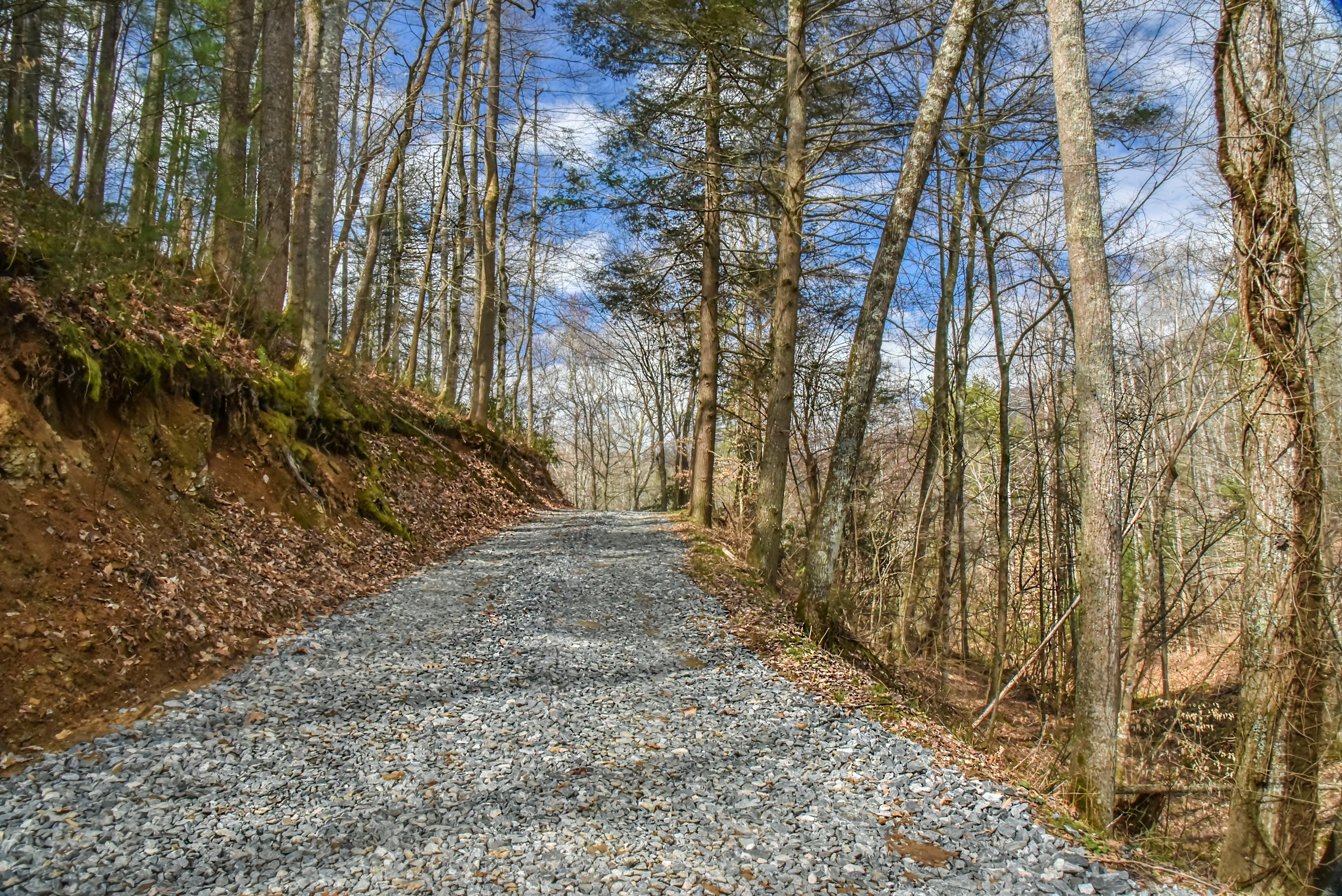 14.16 acres in Madison County, North Carolina