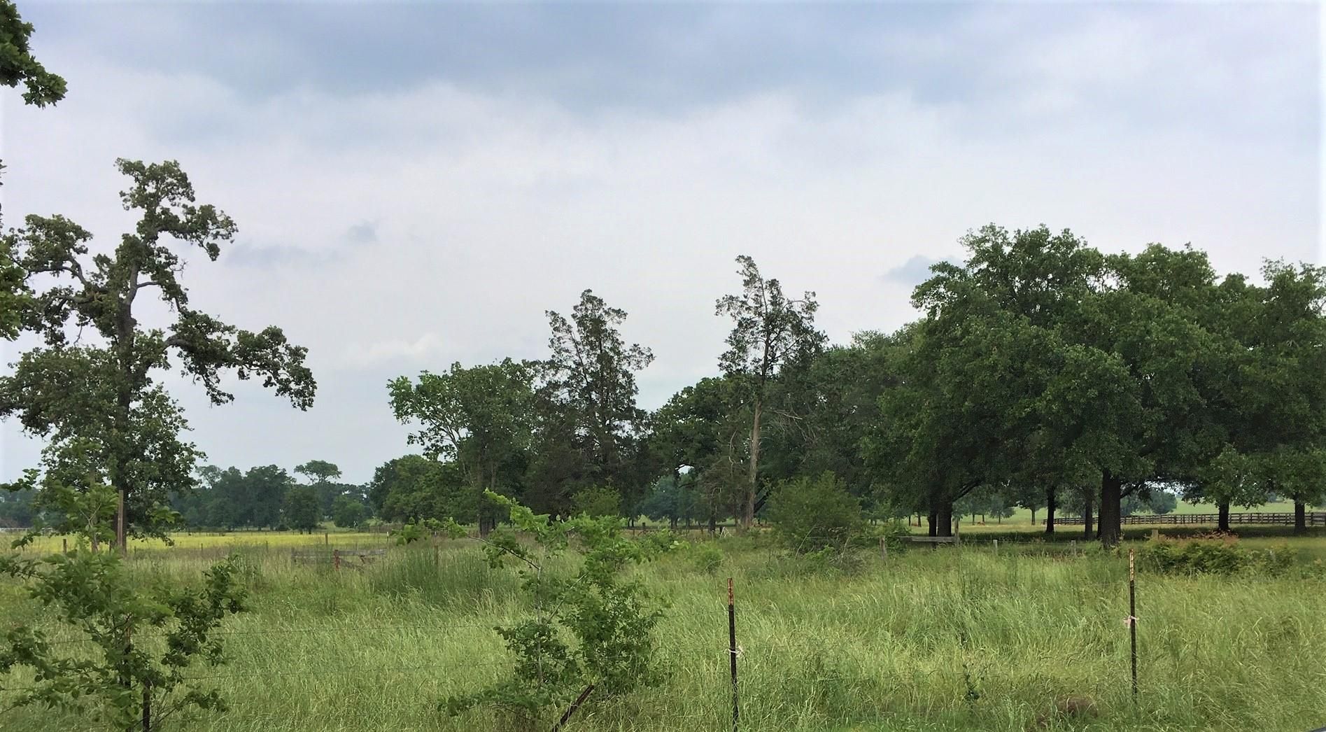 0.86 acres in Waller County, Texas