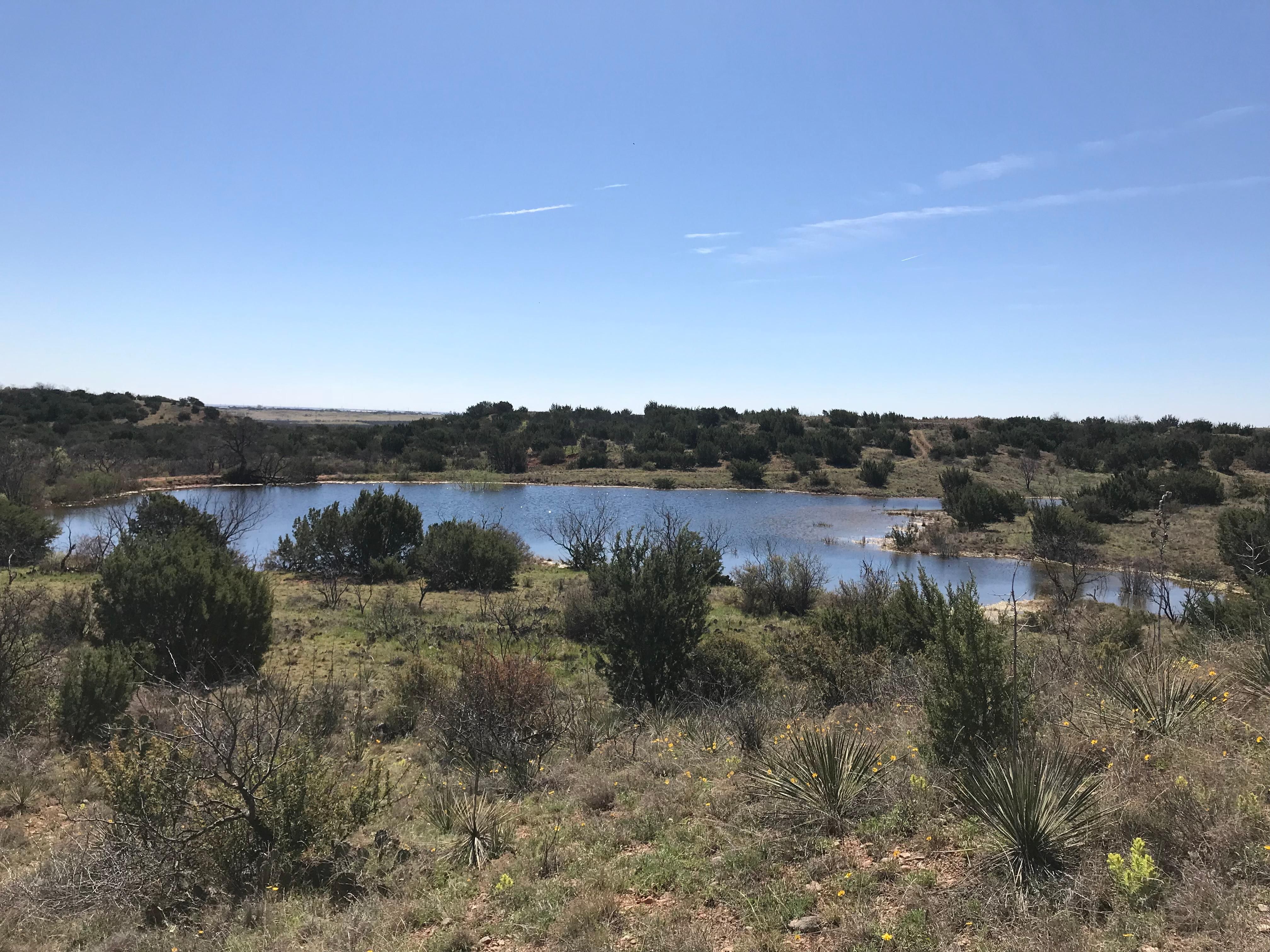 22 acres in Taylor County, Texas