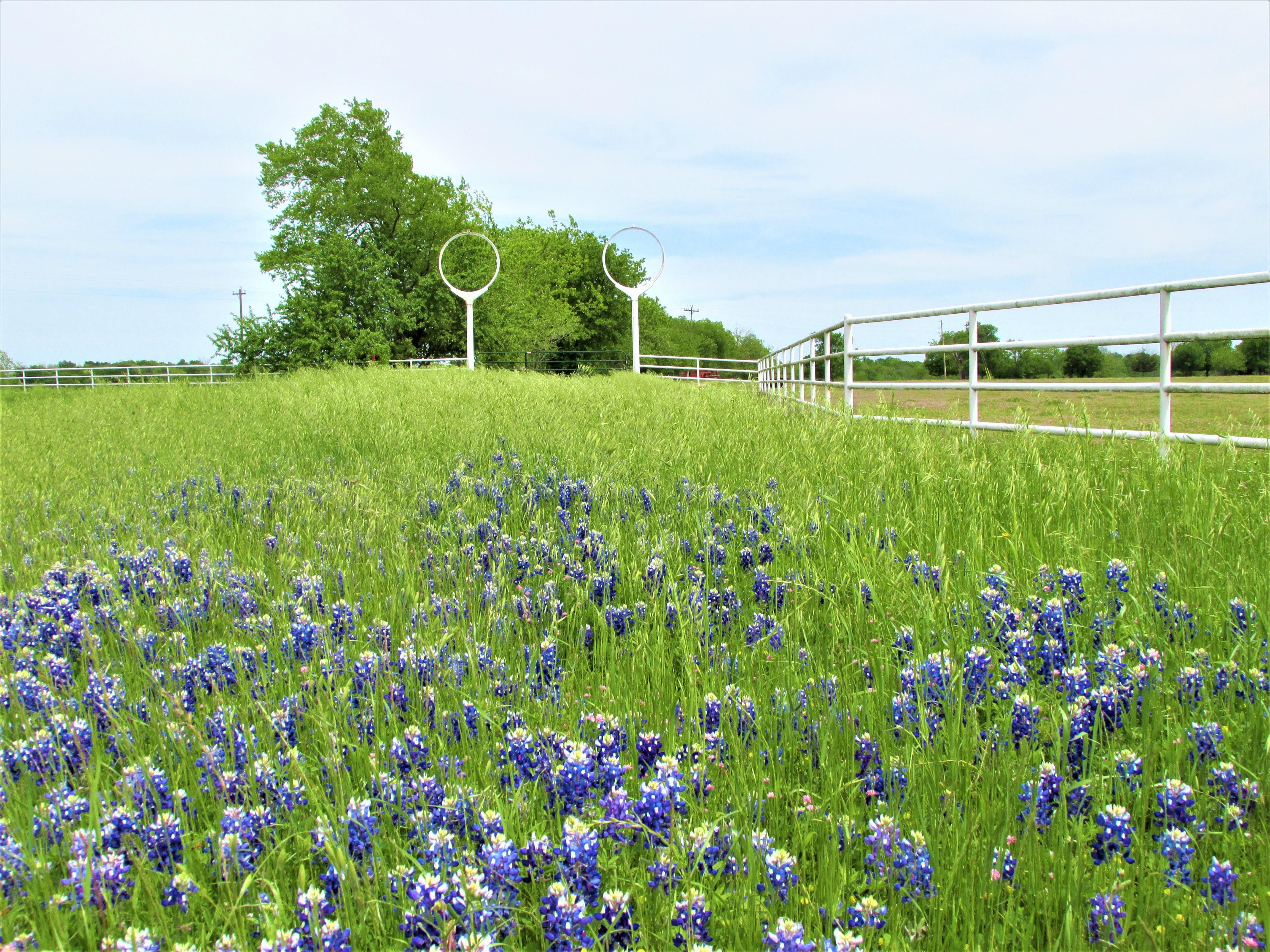 241.04 acres in Delta County, Texas