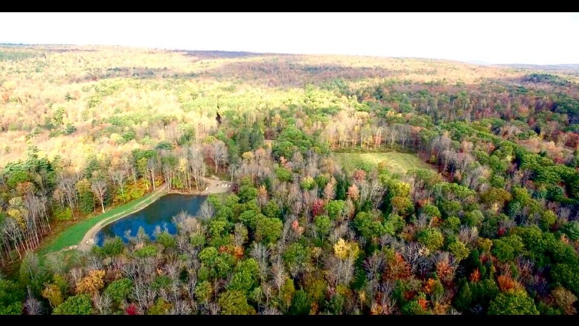 173 acres in Delaware County, New York