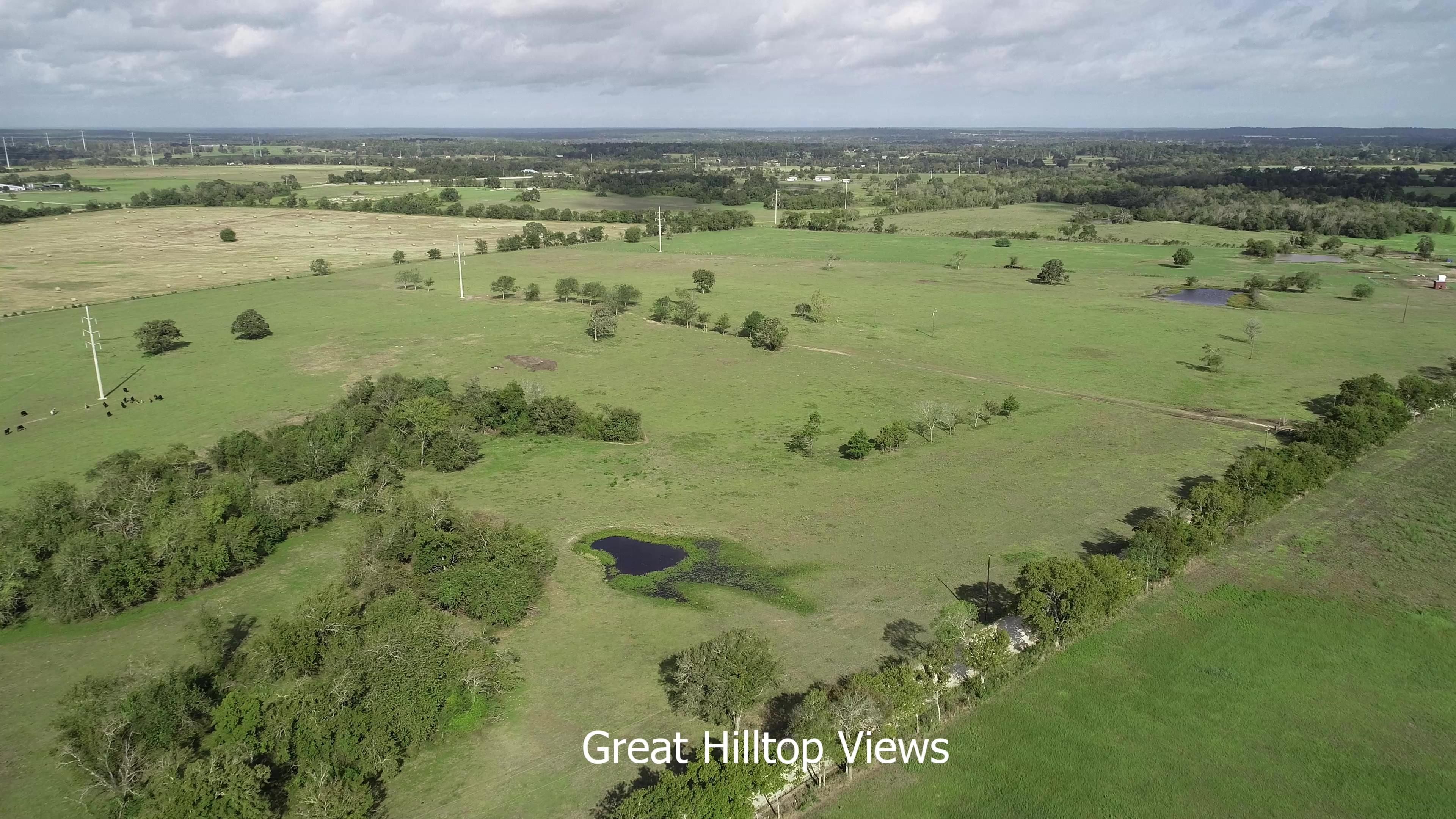 20 acres in Grimes County, Texas