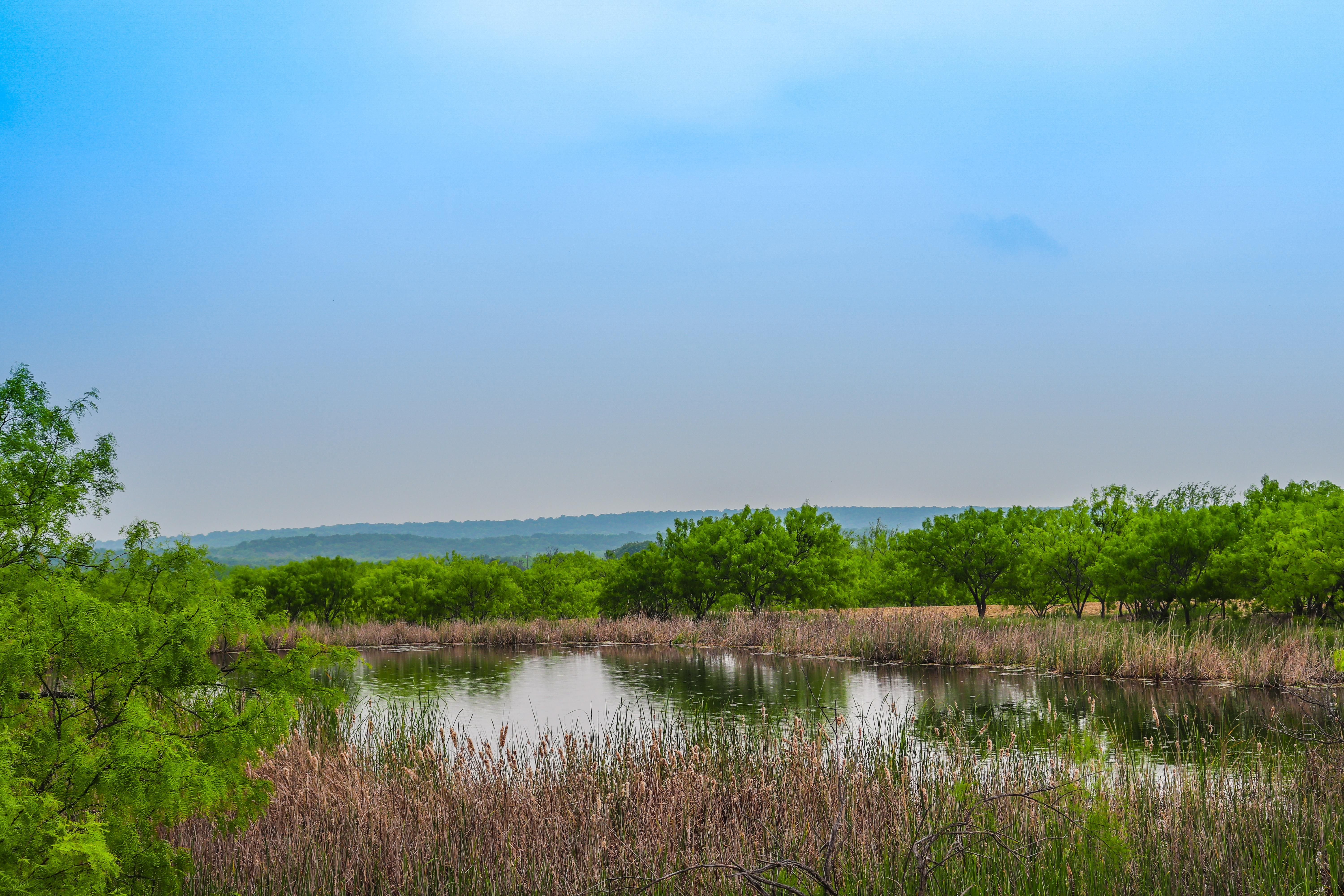 41.88 acres in Eastland County, Texas