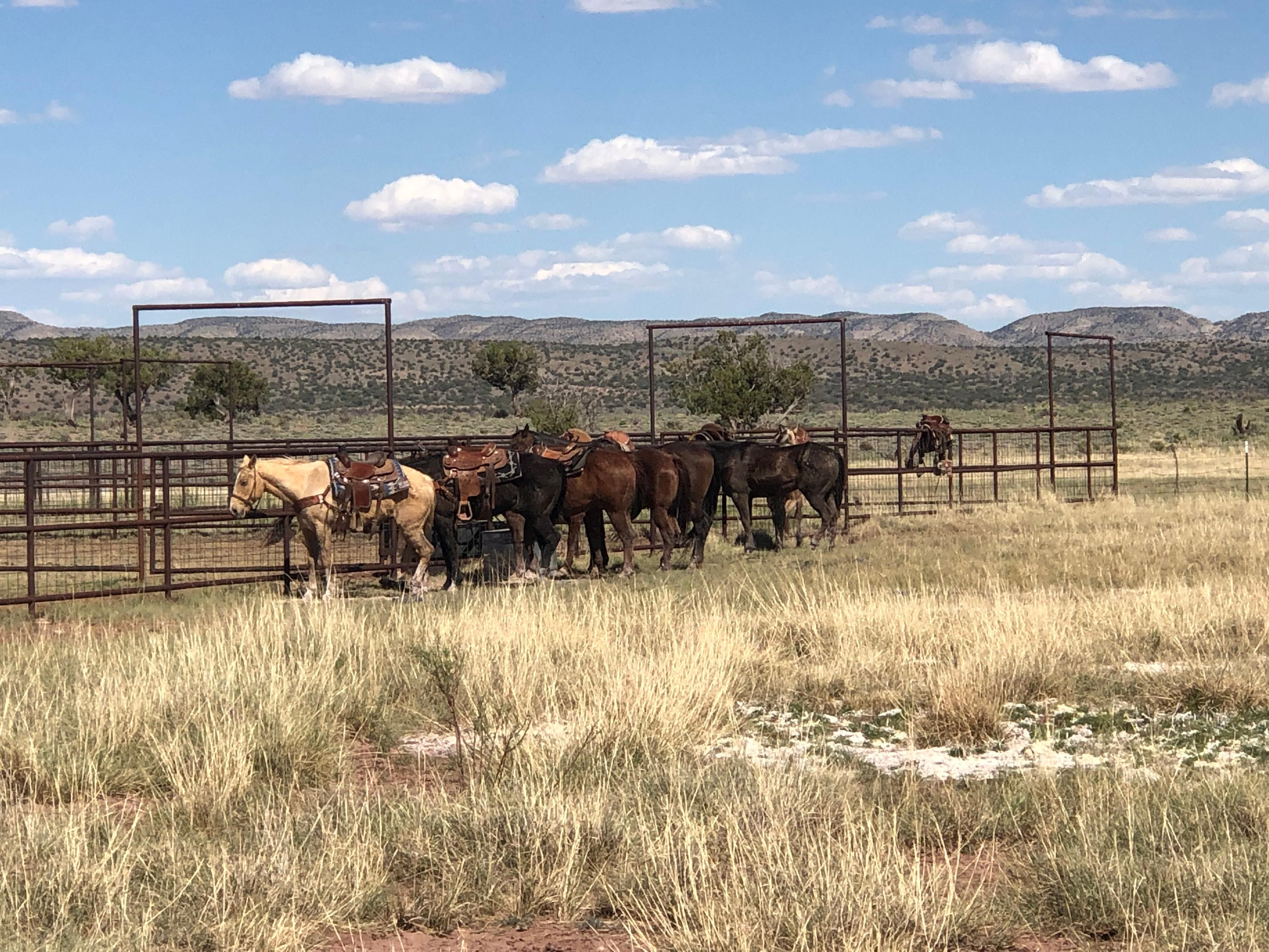 9,188 acres in Socorro County, New Mexico