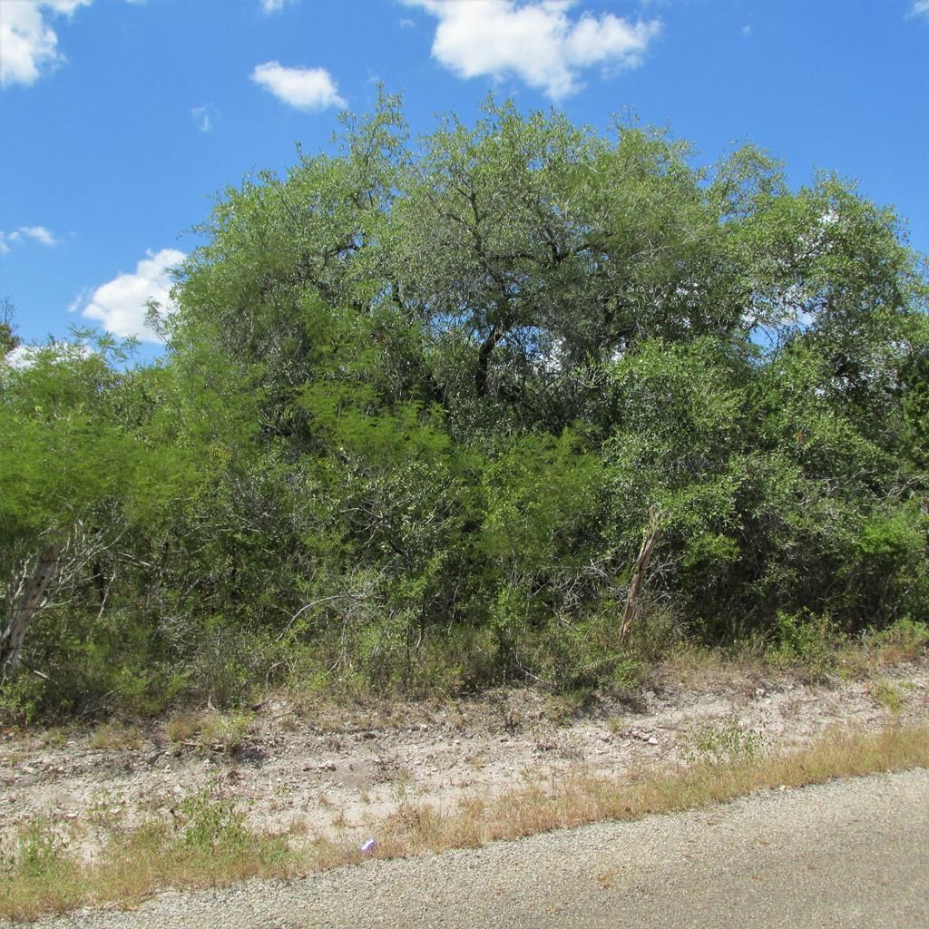 10 acres in Bee County, Texas