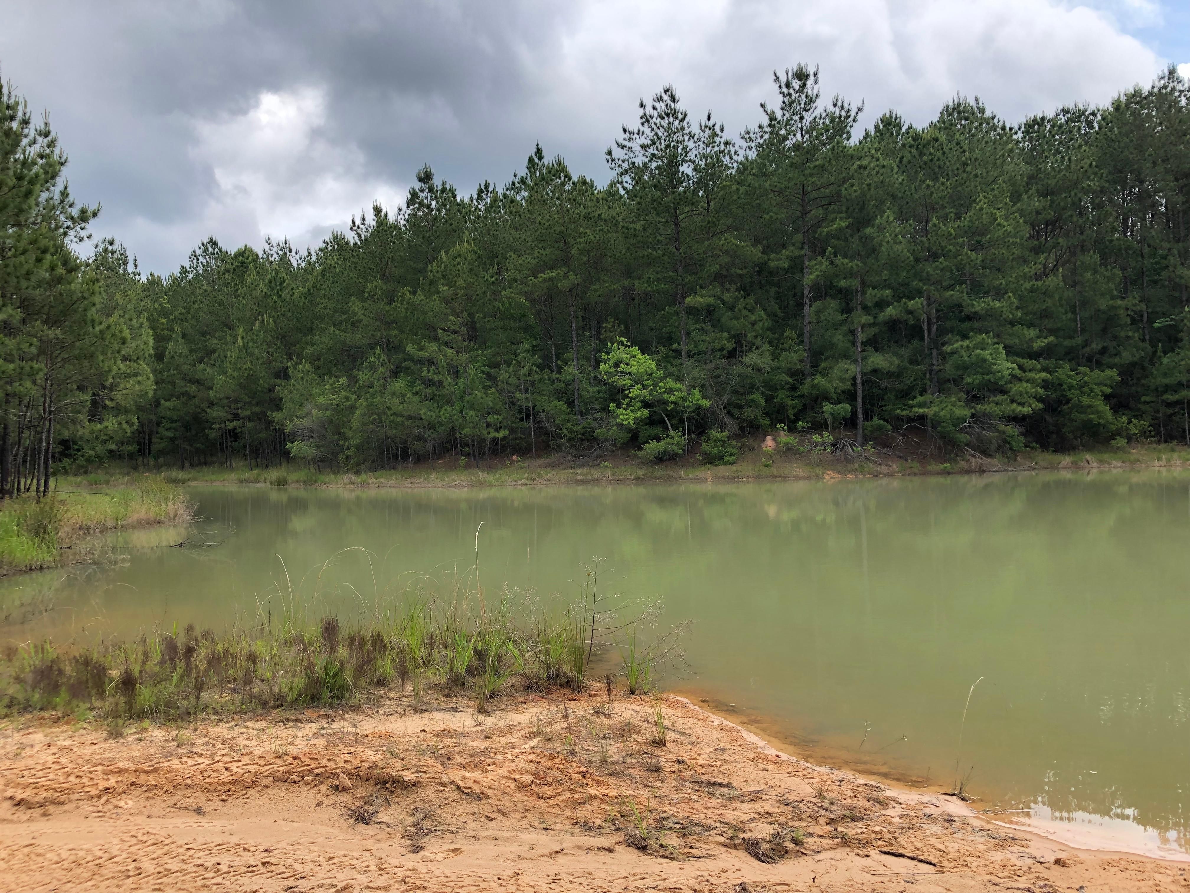 59.33 acres in Pearl River County, Mississippi