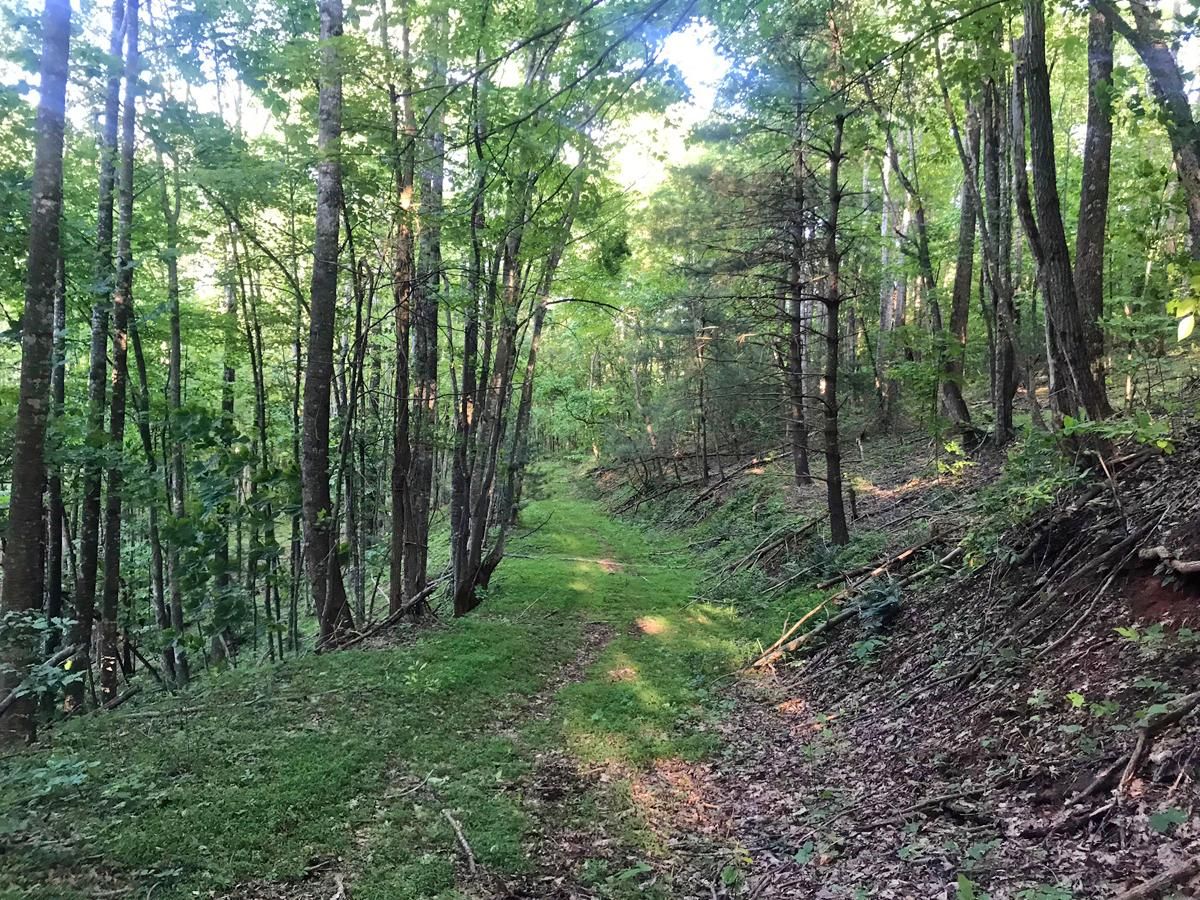 81.90 acres in Wilkes County, North Carolina