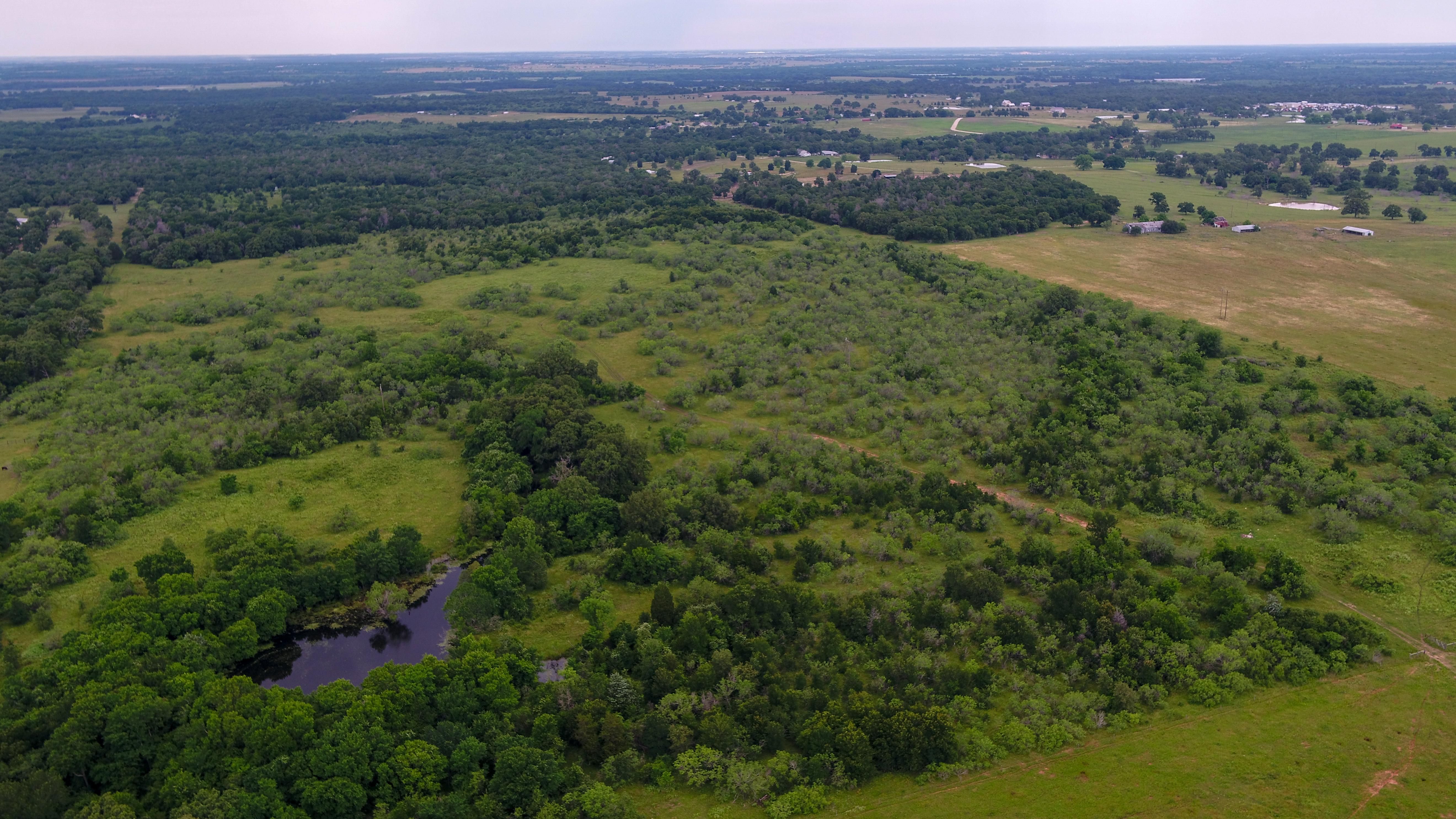 94 acres in Milam County, Texas