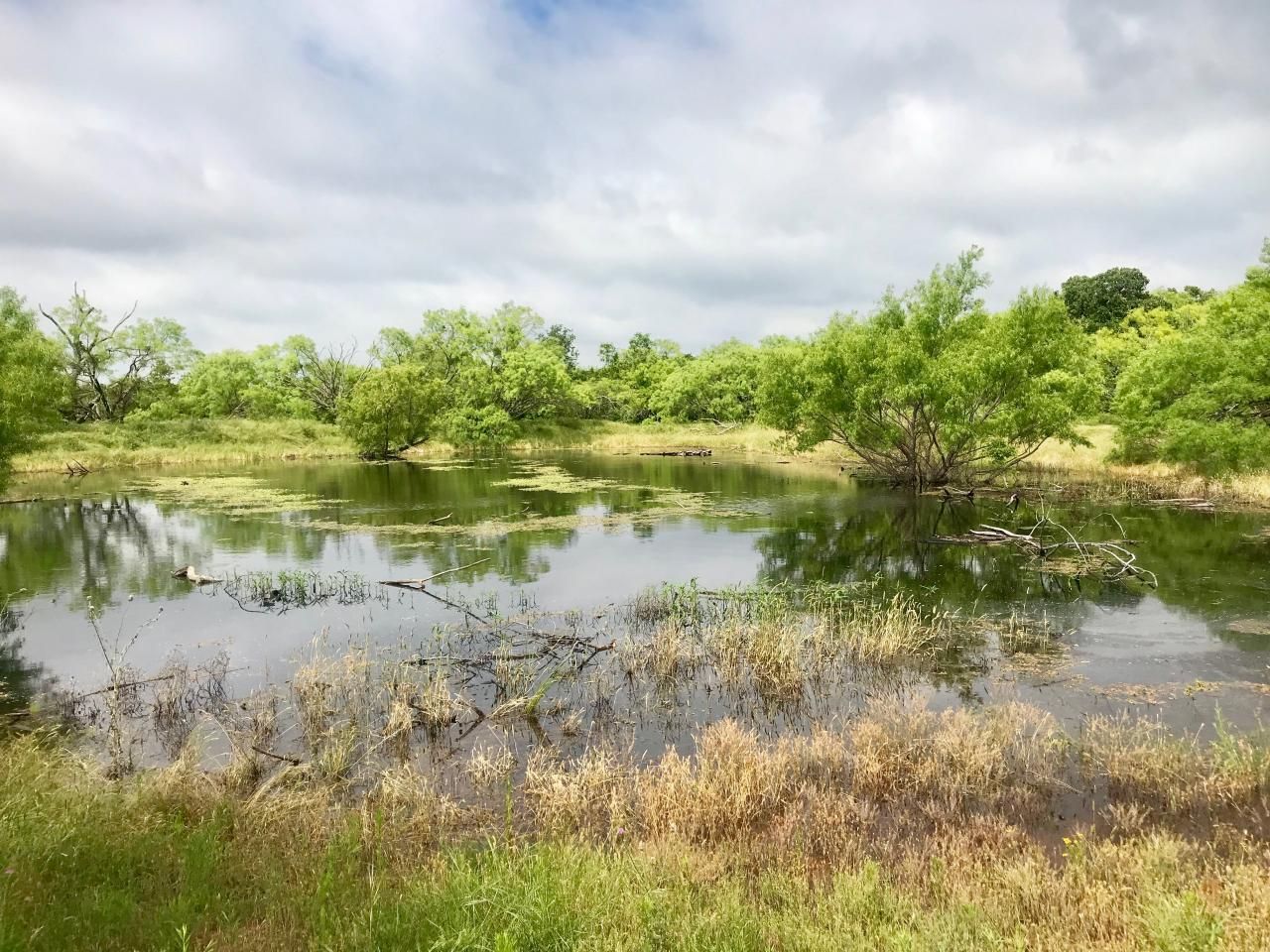 117 acres in Eastland County, Texas