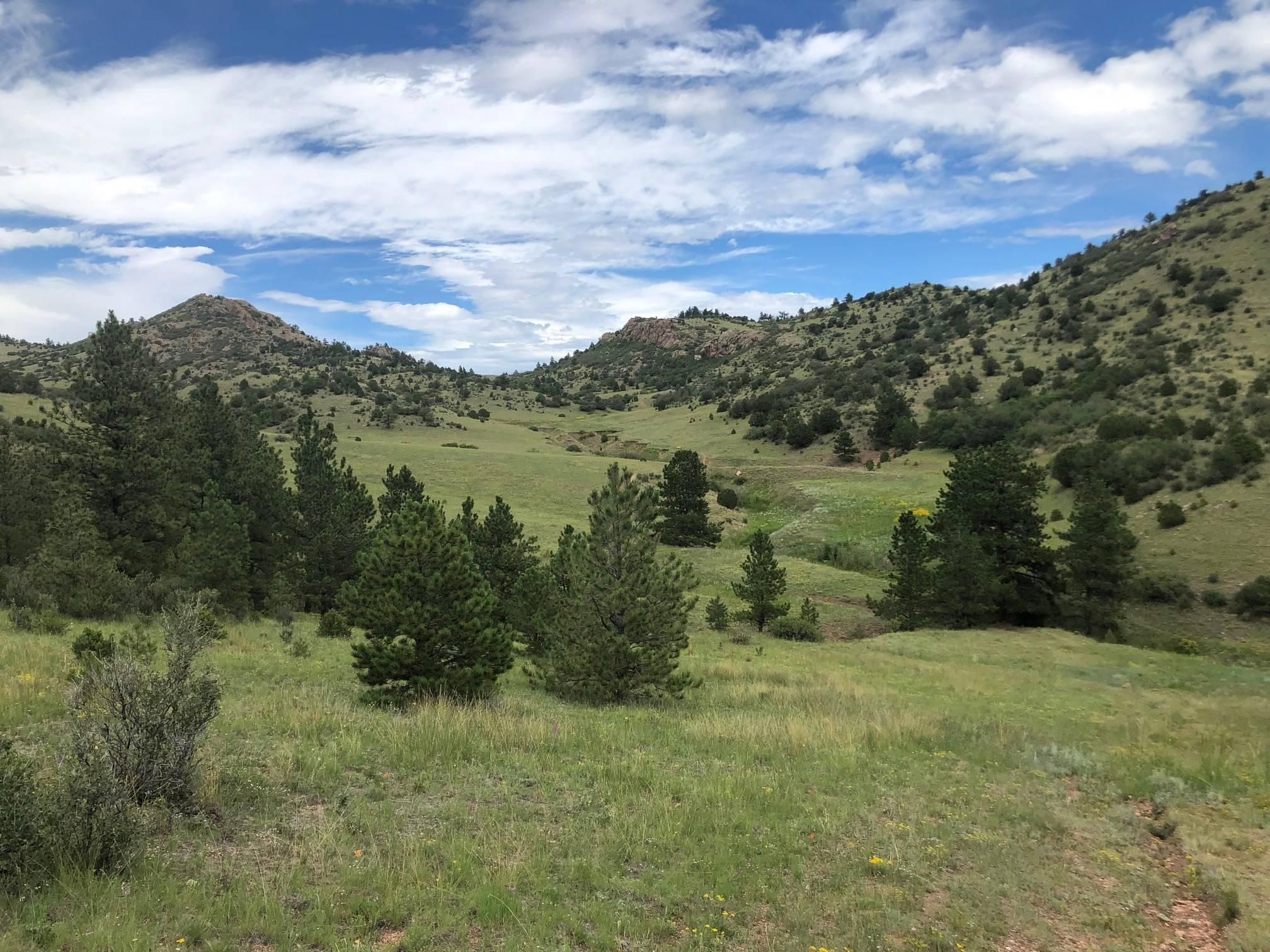 11,594 acres in Fremont County, Colorado