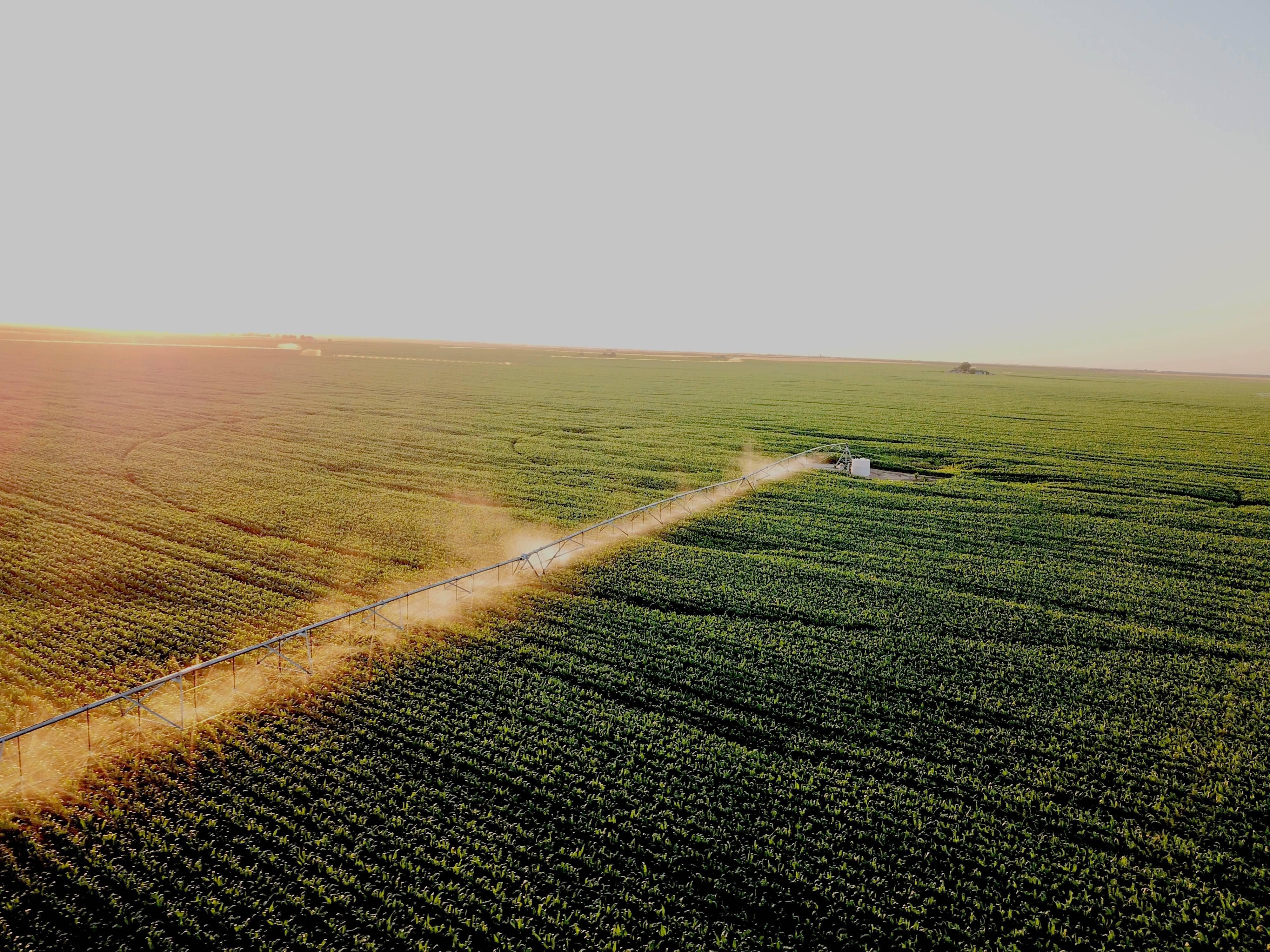 1,342 acres in Phillips County, Colorado