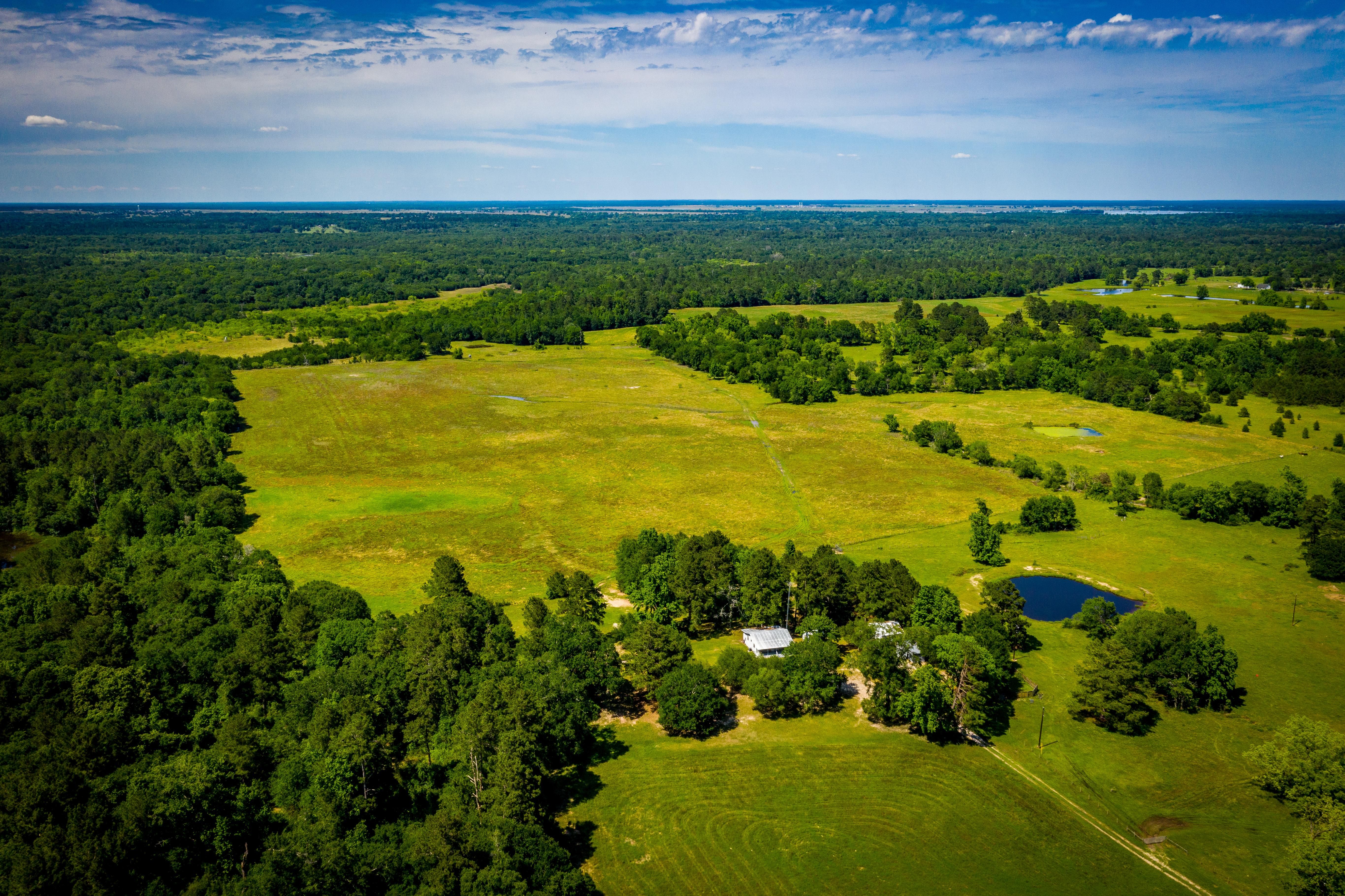 156.45 acres in Walker County, Texas
