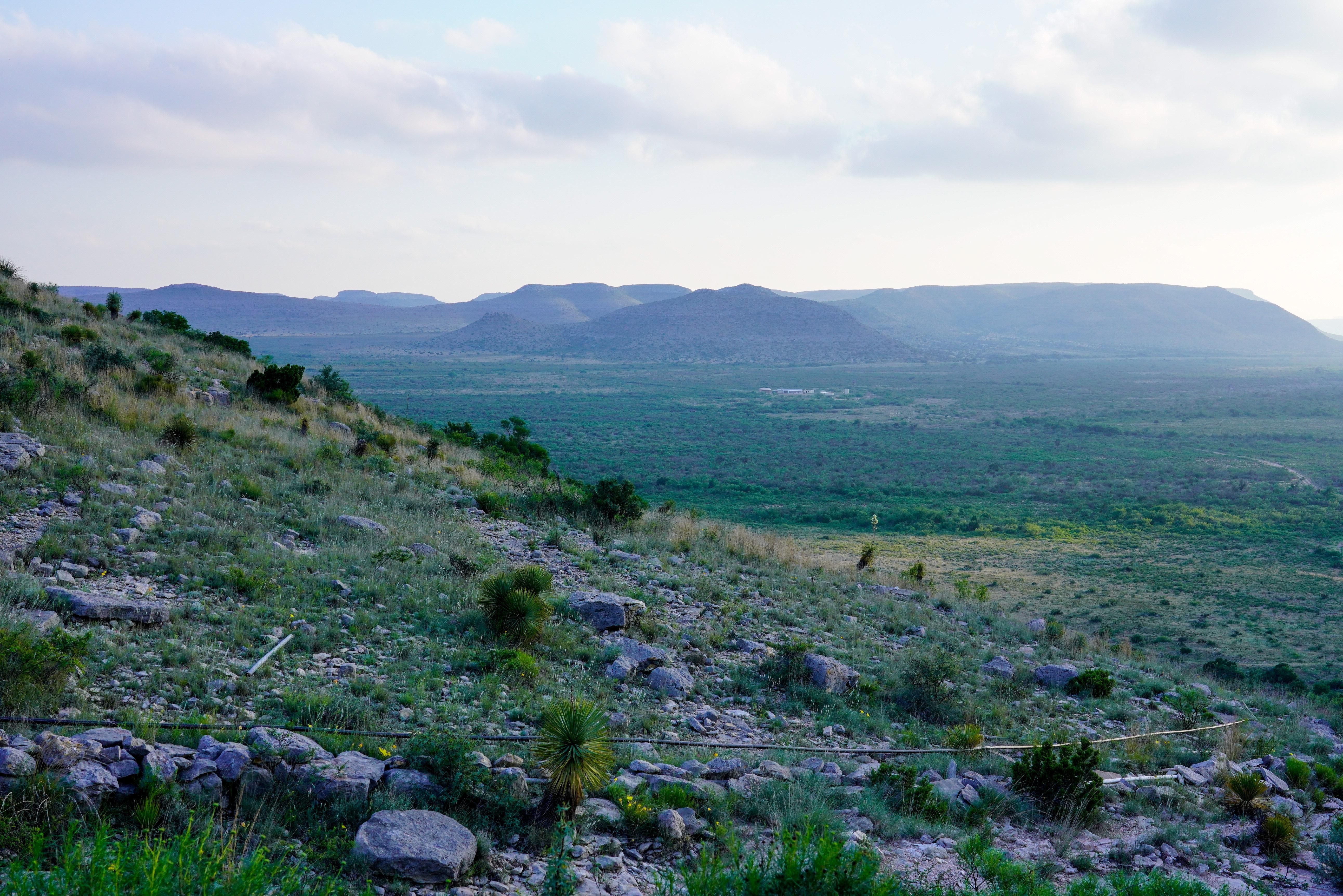 2300.00 acres in Pecos County, Texas