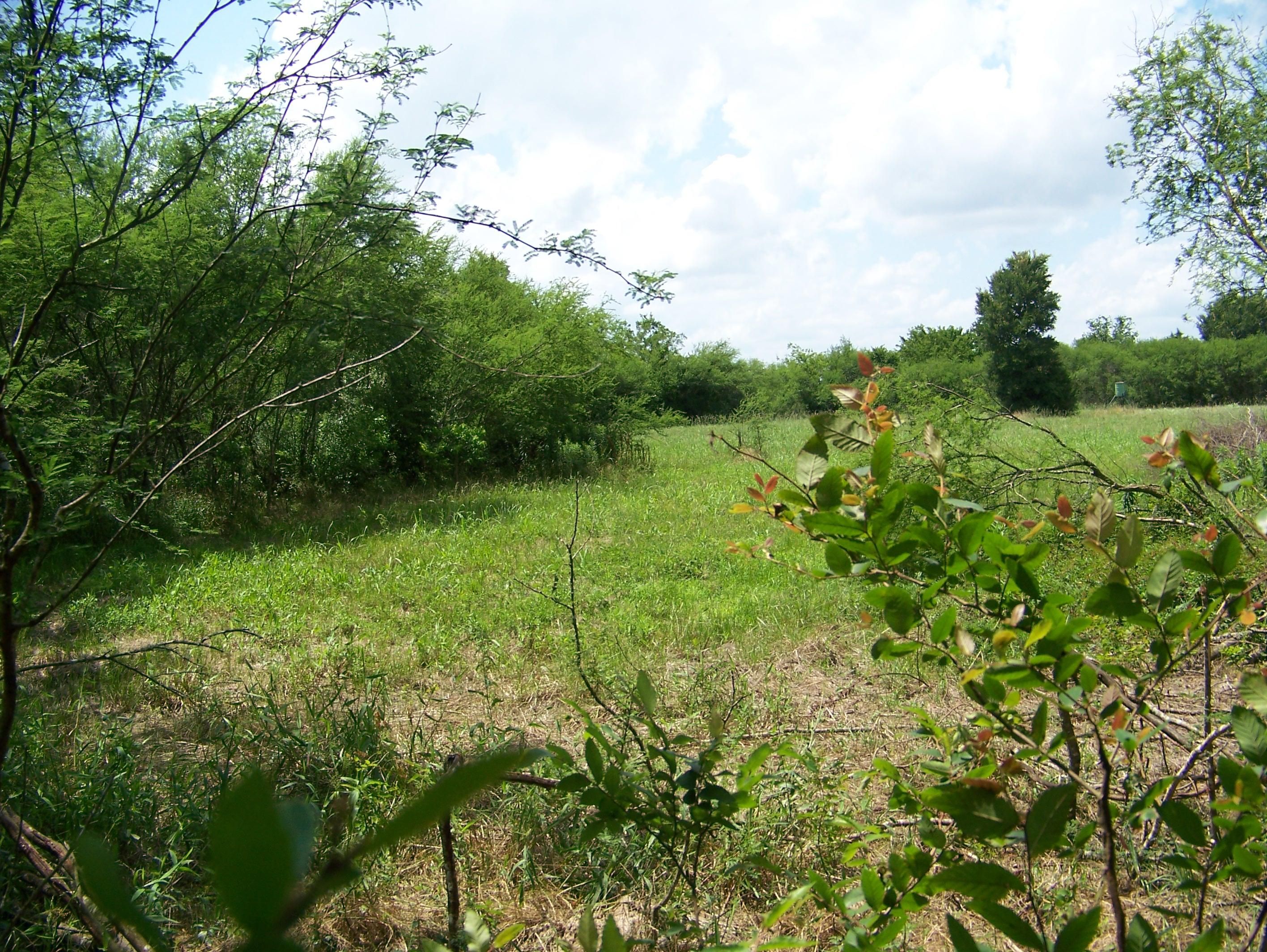 2 acres in Waller County, Texas