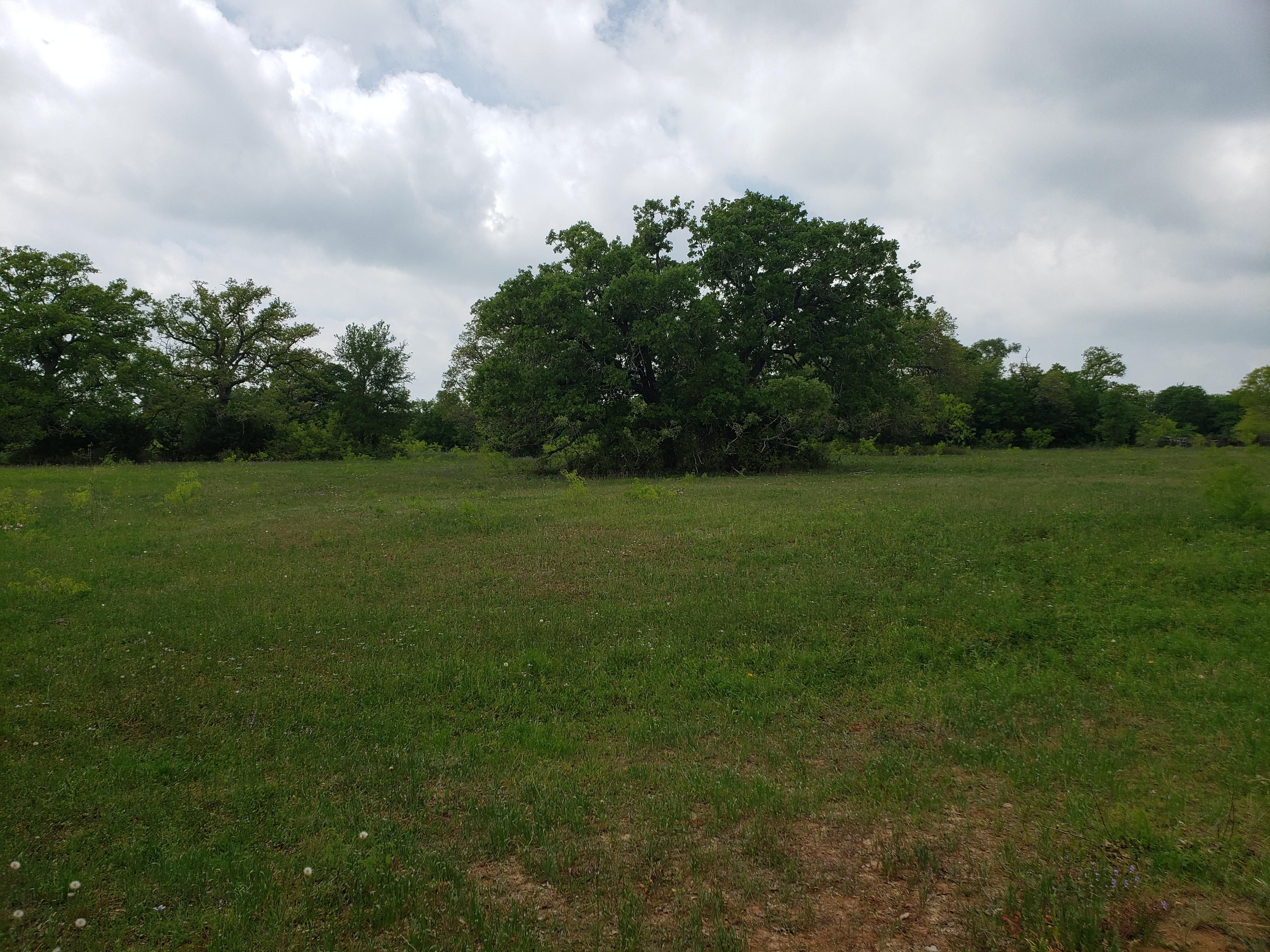 12.41 acres in Caldwell County, Texas