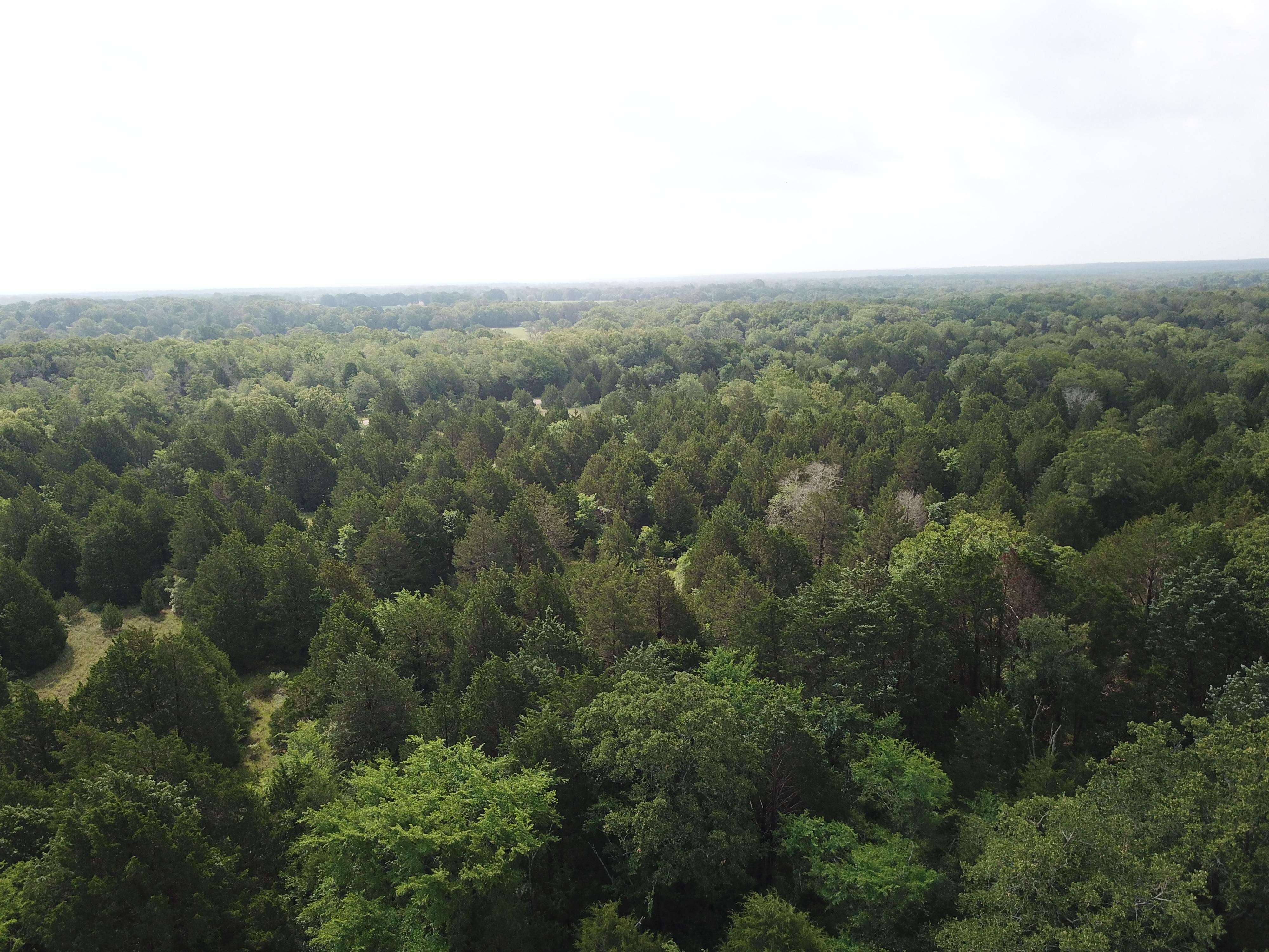 80 acres in Limestone County, Texas