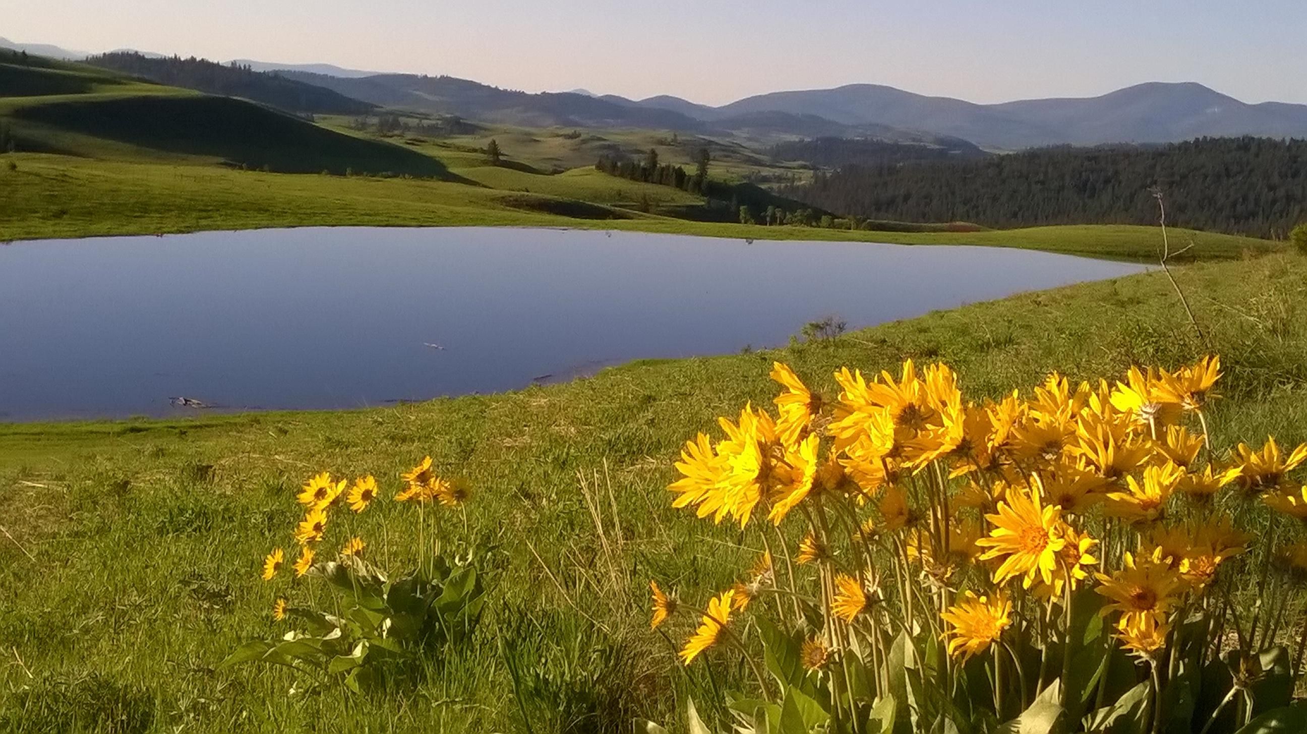 158 Acres In Okanogan County Washington