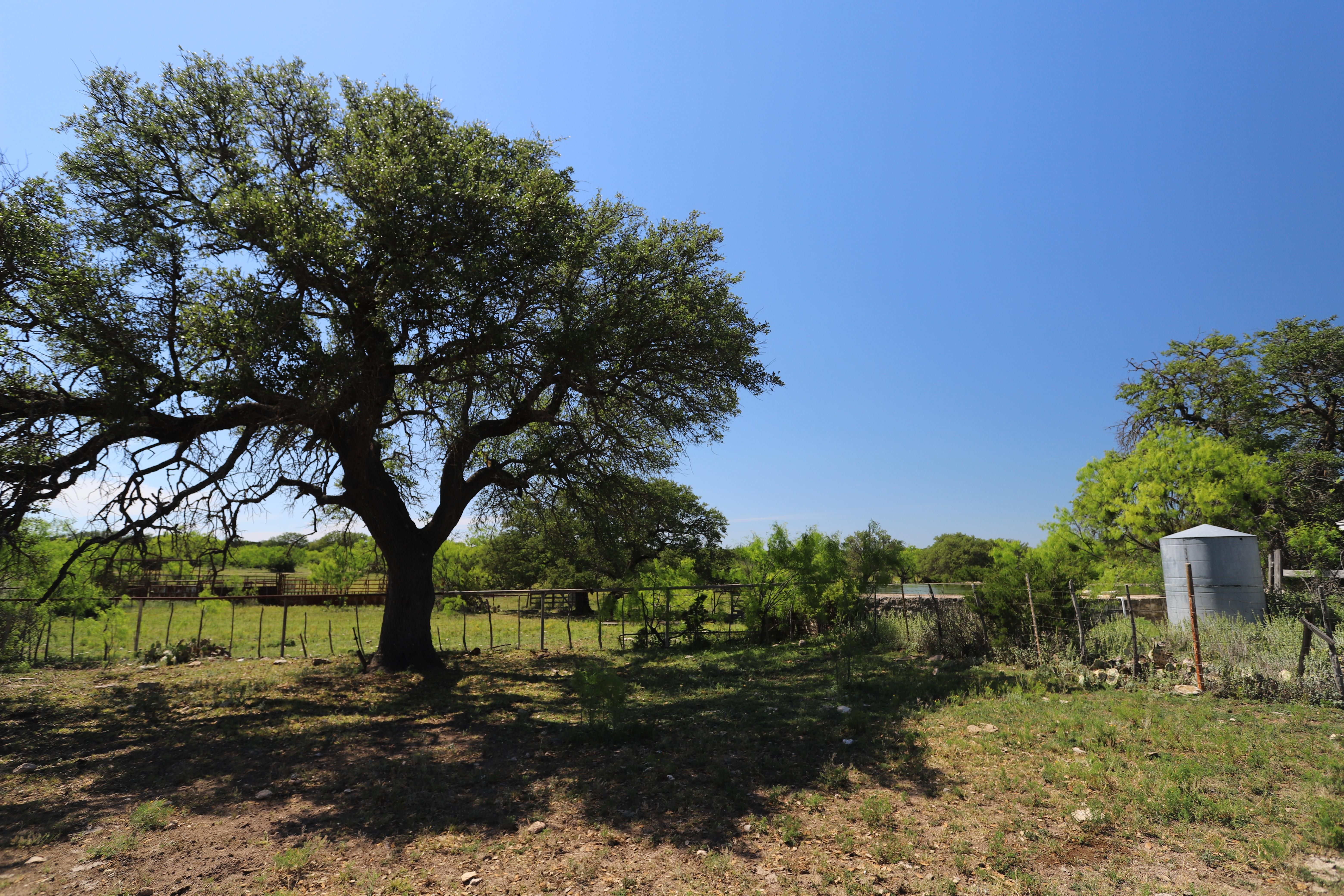 2,600 acres in Sutton County, Texas