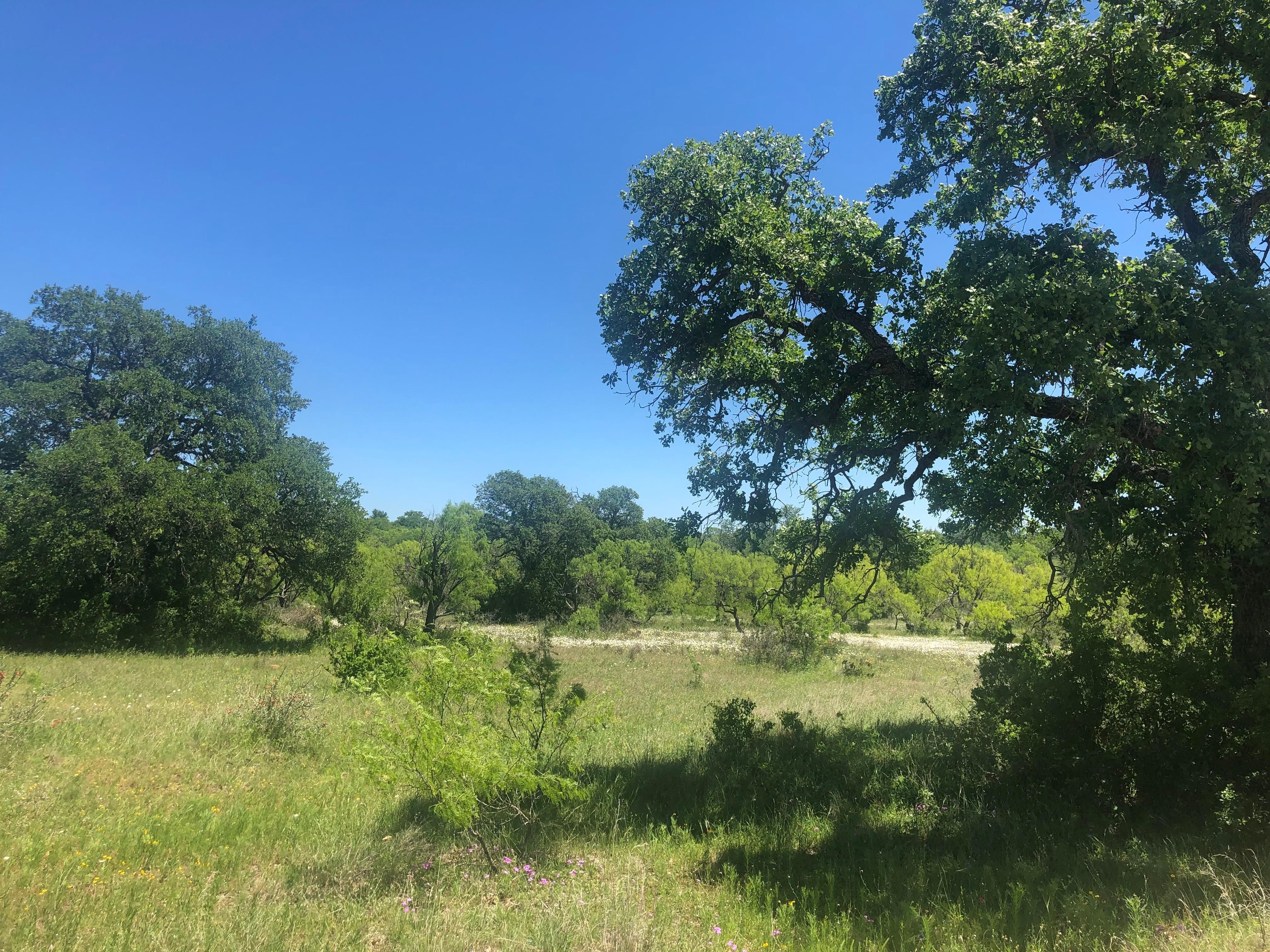 46.55 acres in Llano County, Texas