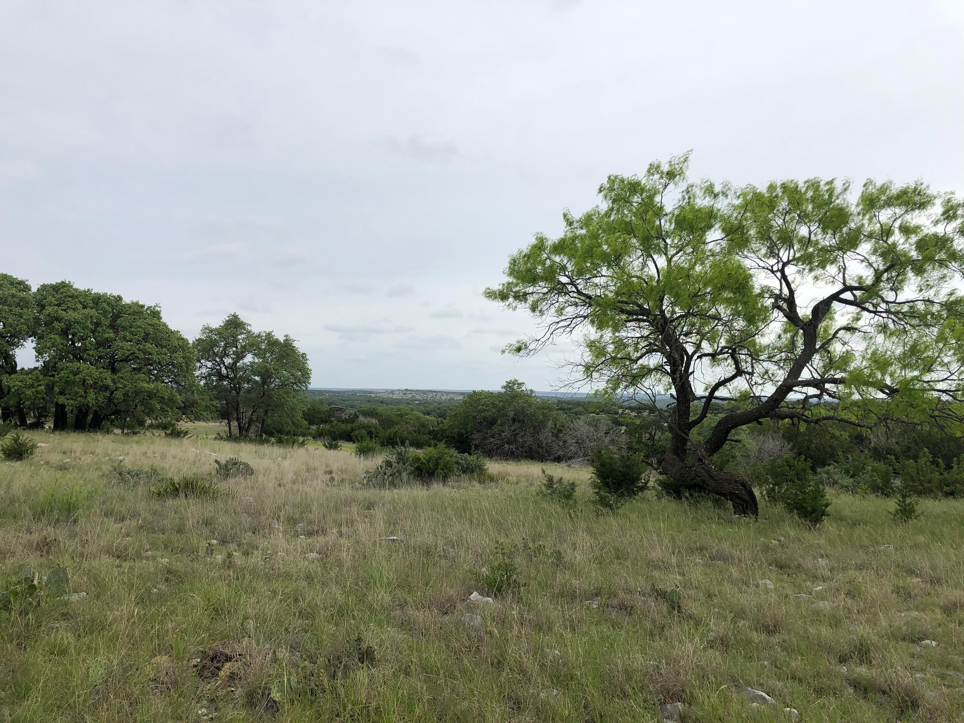 640 acres in Edwards County, Texas