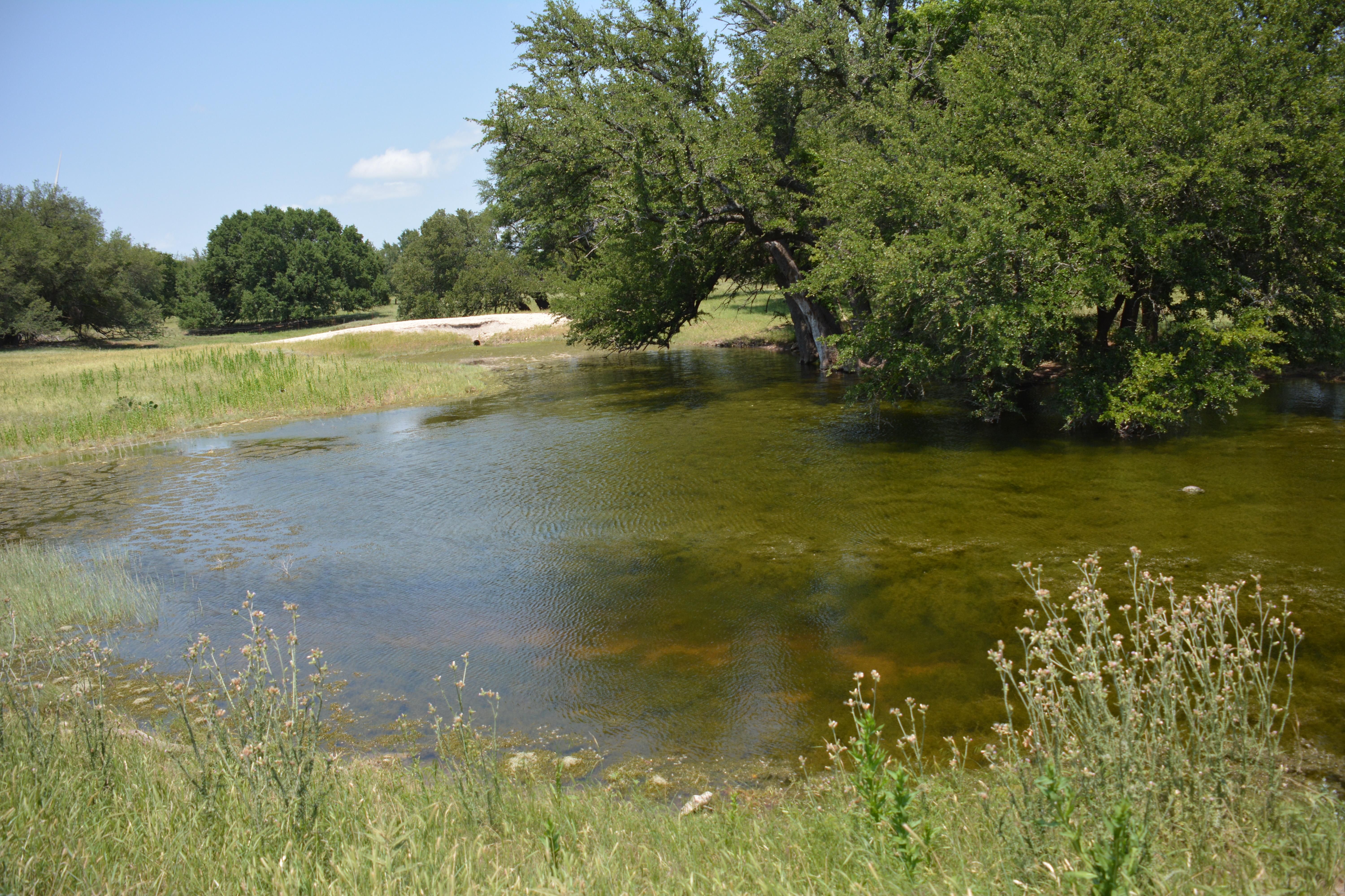 325 acres in Mills County, Texas