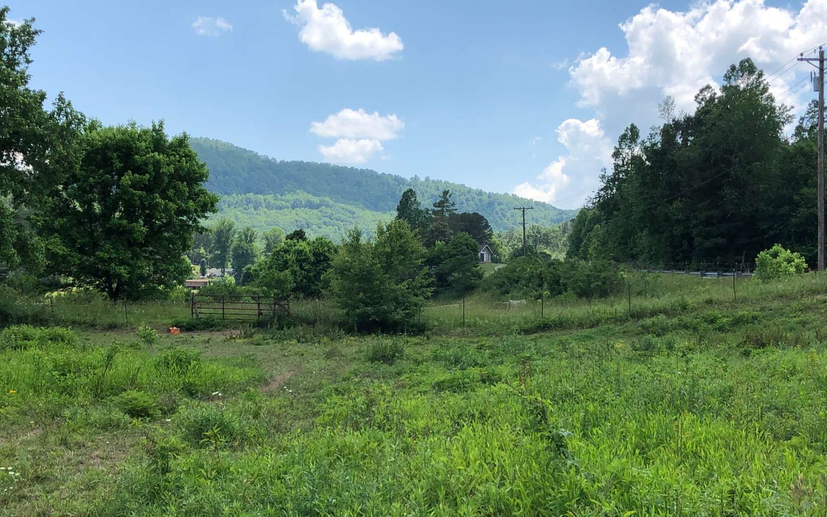 18.74 acres in Polk County, Tennessee