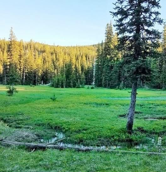 98.16 acres in Granite County, Montana