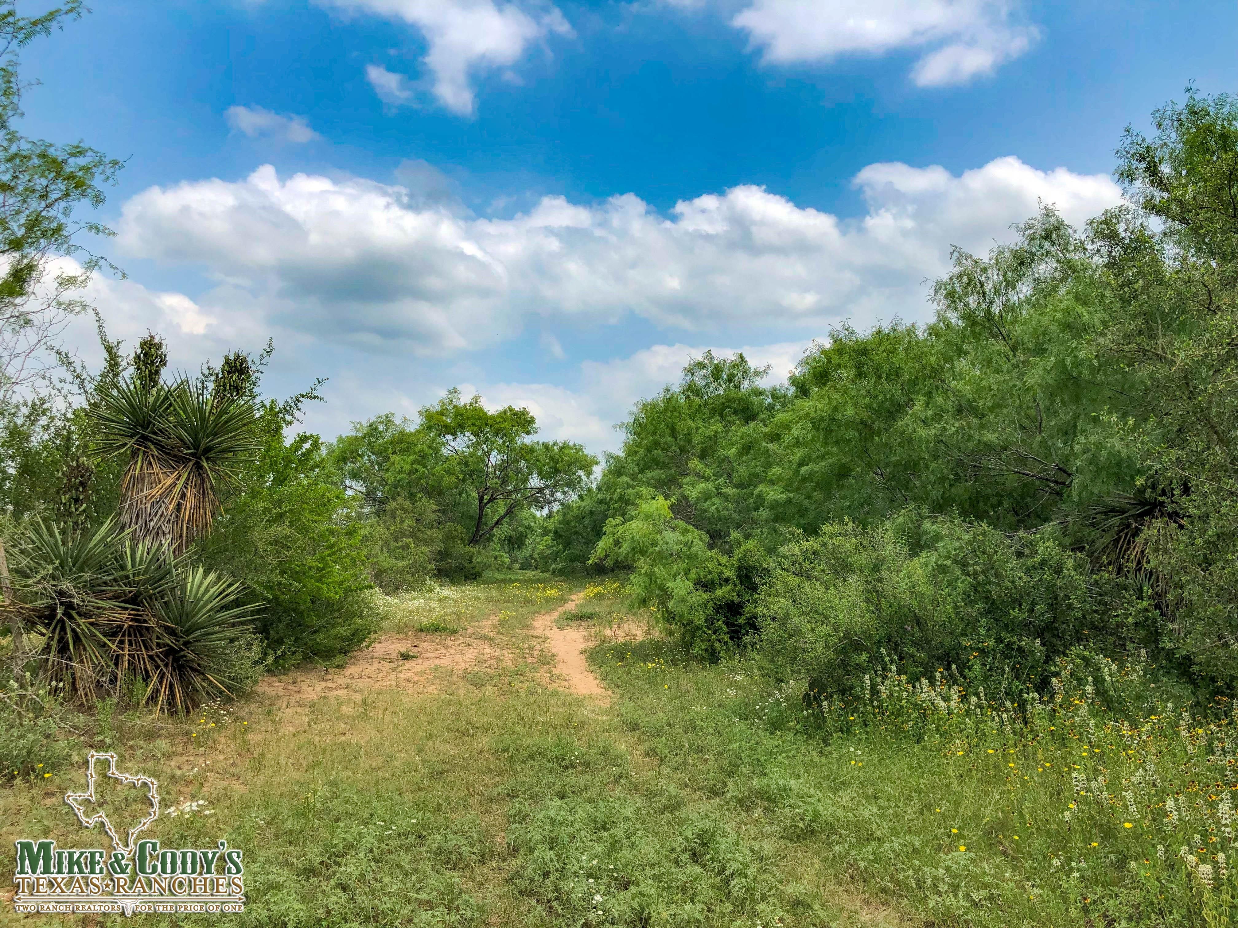 39 acres in Frio County, Texas