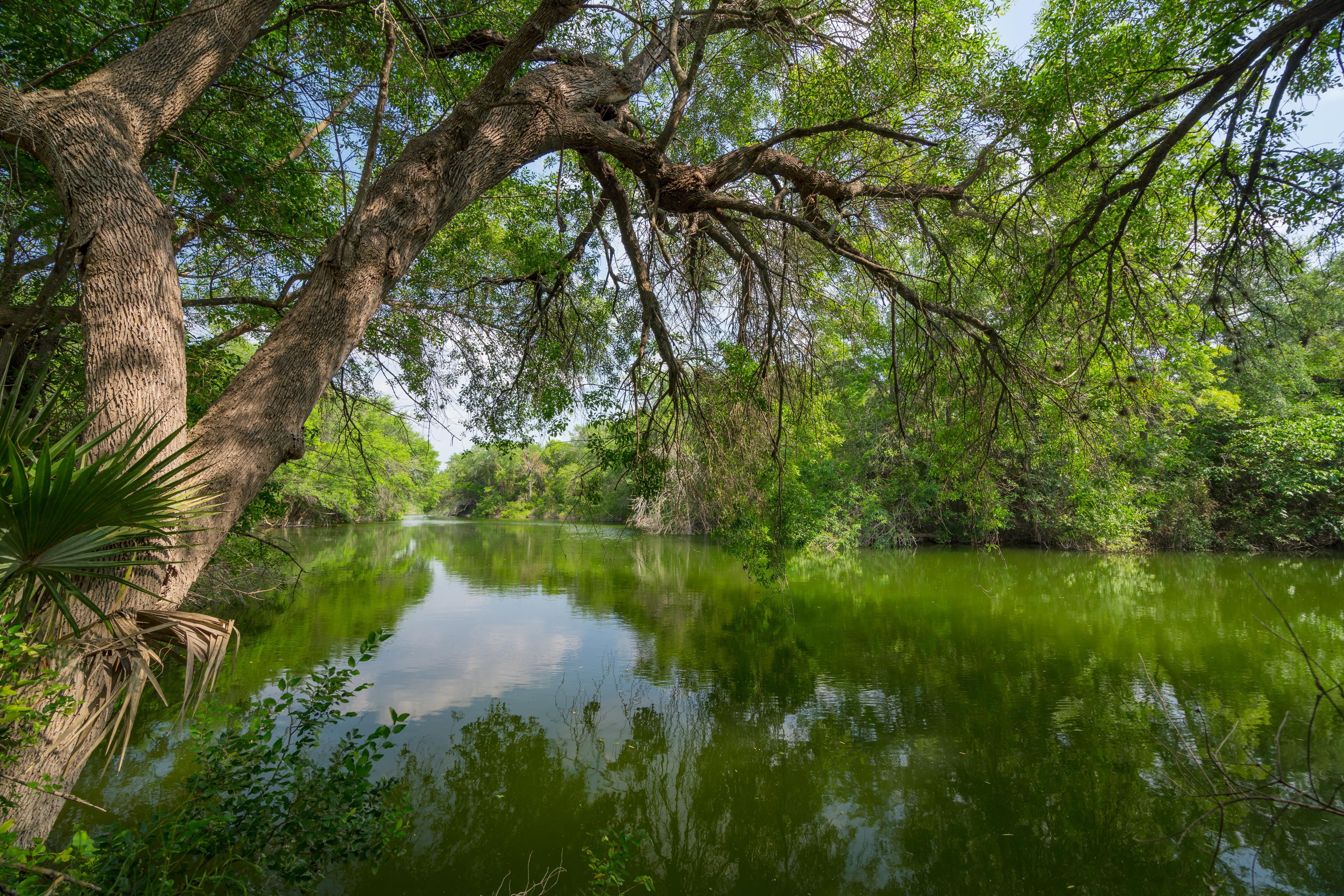 144 acres in Dimmit County, Texas